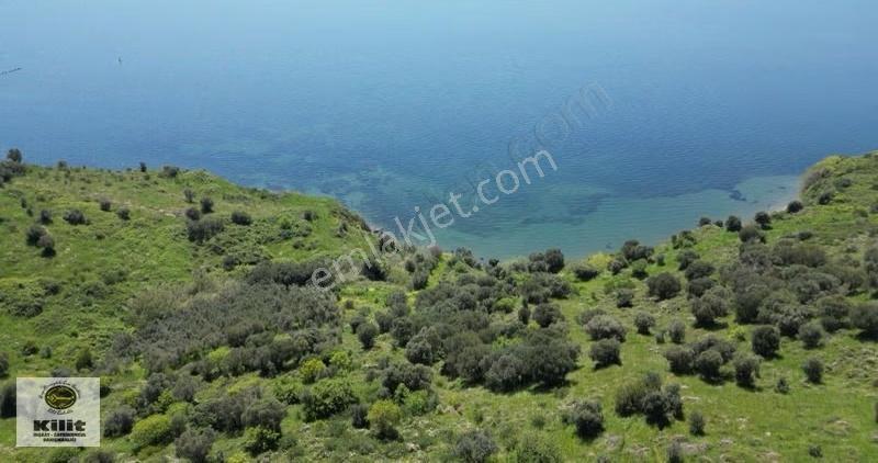 Her Sabah Denize Uyanacağınız Eşsiz Manzarasıyla Satılık Arsalar - Görsel 3