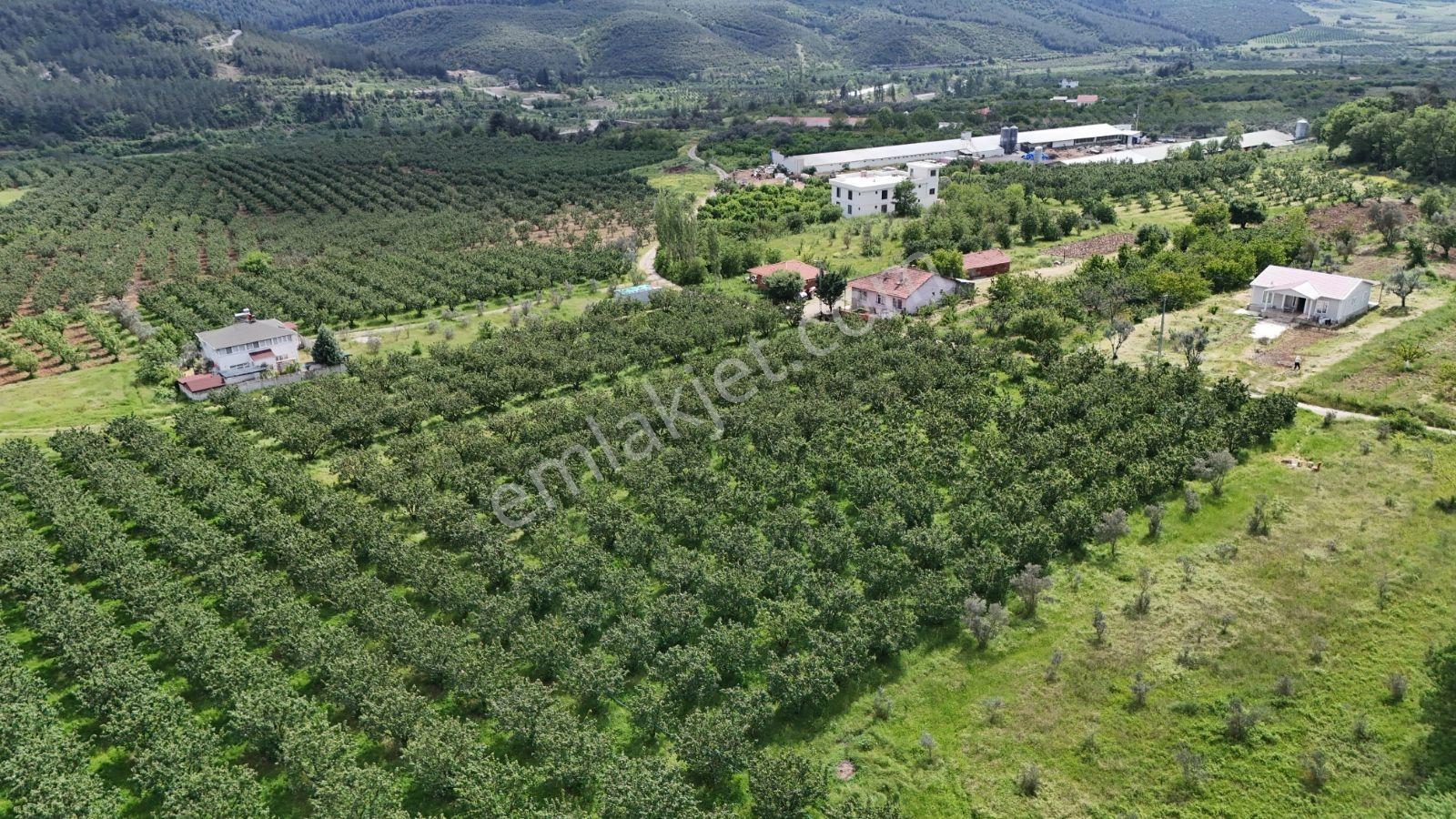 Geyve Burhaniye 370 M2 Proje Masrafı Yok Direkt İnşaata Hazır - Görsel 9