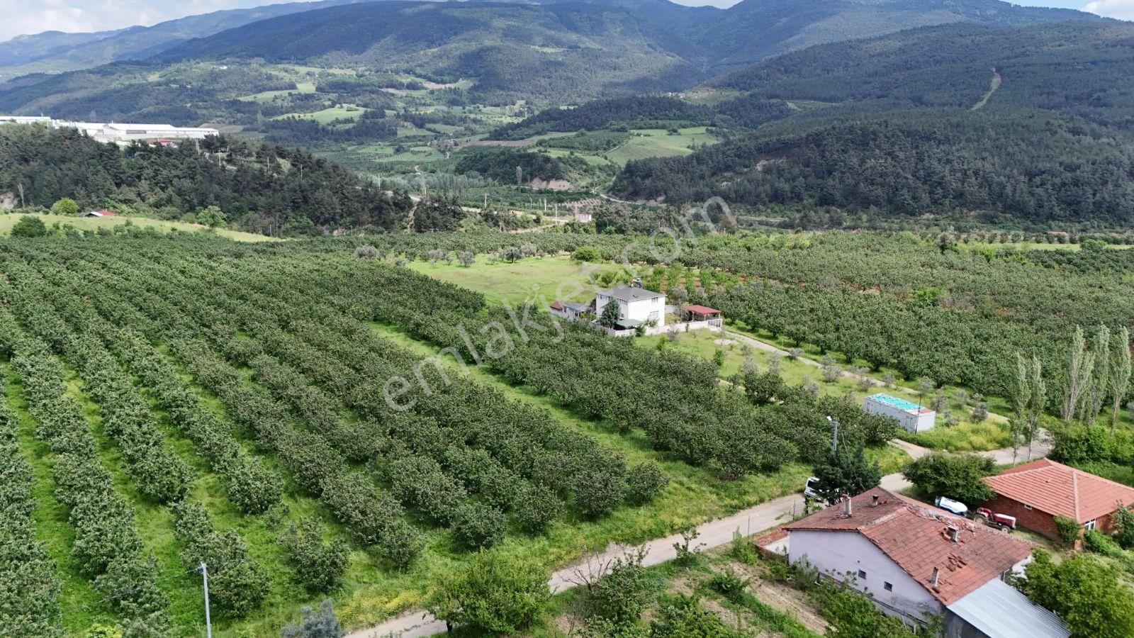 Geyve Burhaniye 370 M2 Proje Masrafı Yok Direkt İnşaata Hazır - Görsel 8