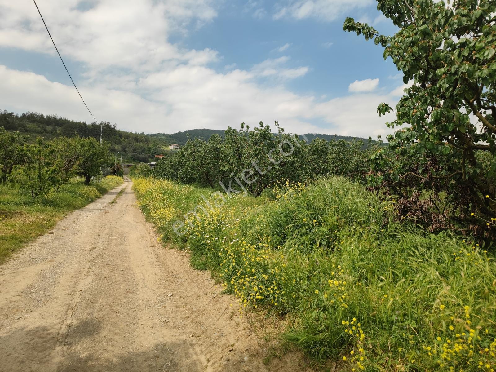 Geyve Burhaniye 370 M2 Proje Masrafı Yok Direkt İnşaata Hazır - Görsel 30