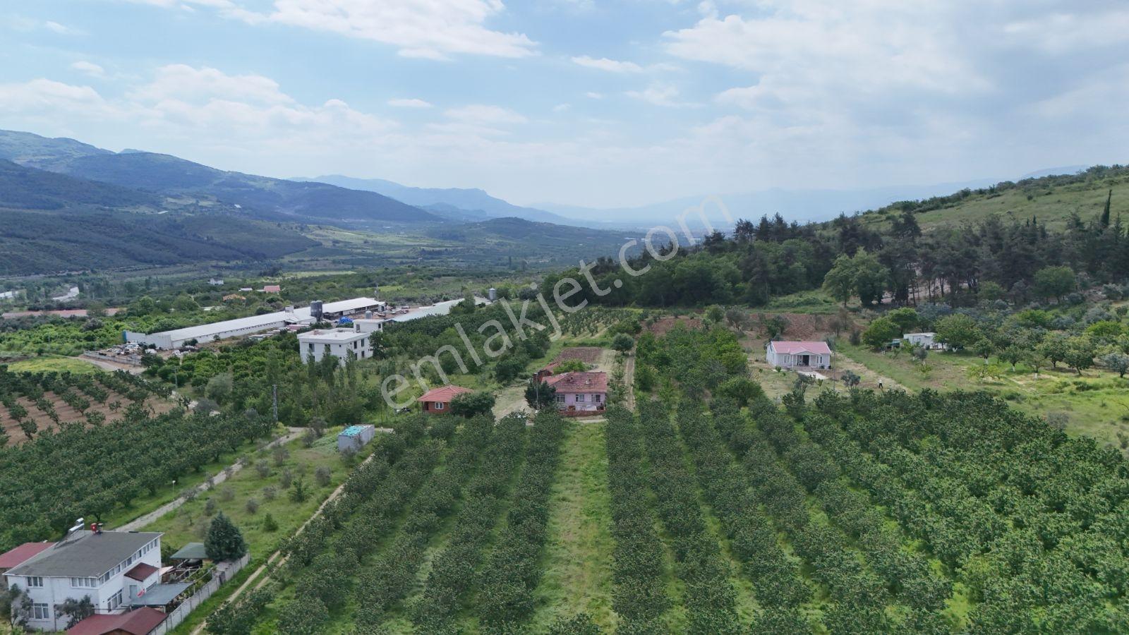 Geyve Burhaniye 370 M2 Proje Masrafı Yok Direkt İnşaata Hazır - Görsel 7