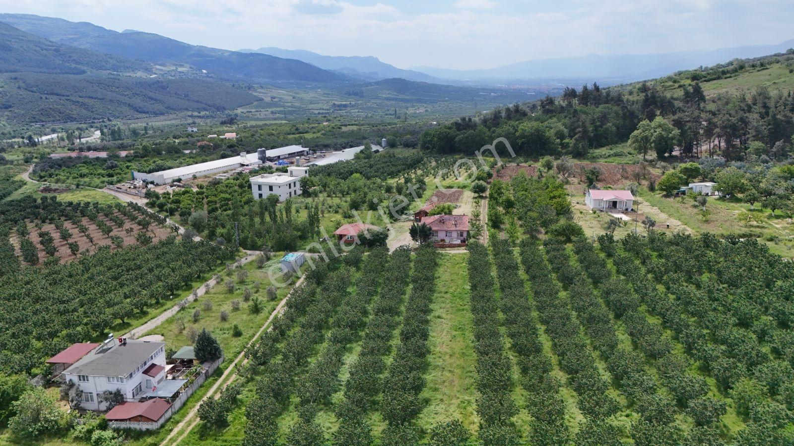 Geyve Burhaniye 370 M2 Proje Masrafı Yok Direkt İnşaata Hazır - Görsel 17