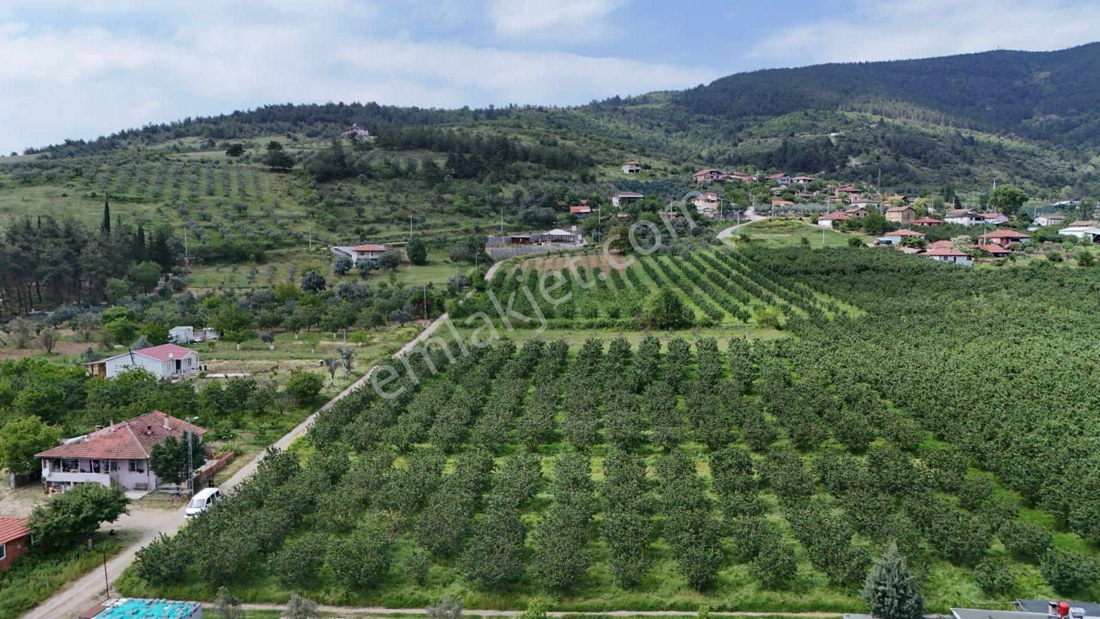 Geyve Burhaniye 370 M2 Proje Masrafı Yok Direkt İnşaata Hazır - Görsel 35