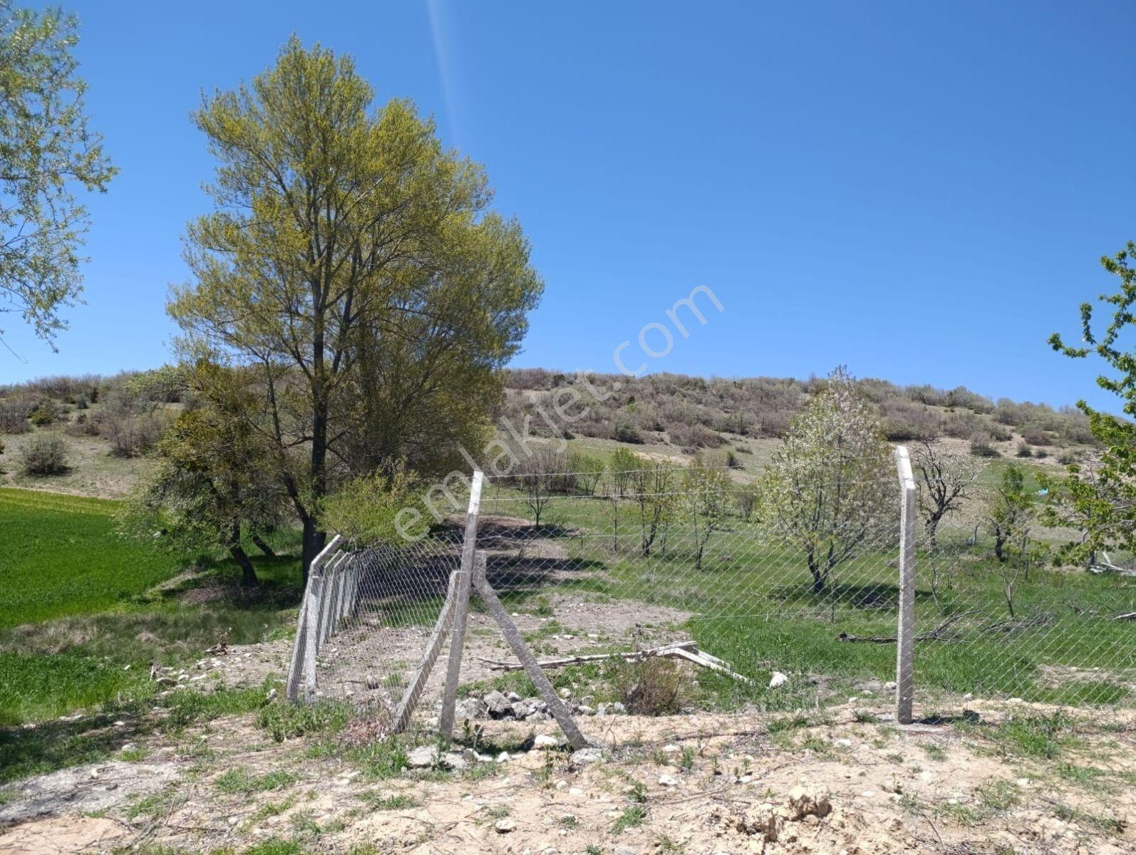 Metin Gönülalan'dan Tepe Kent'te Doğayla İç İçe Bahçe - Görsel 16