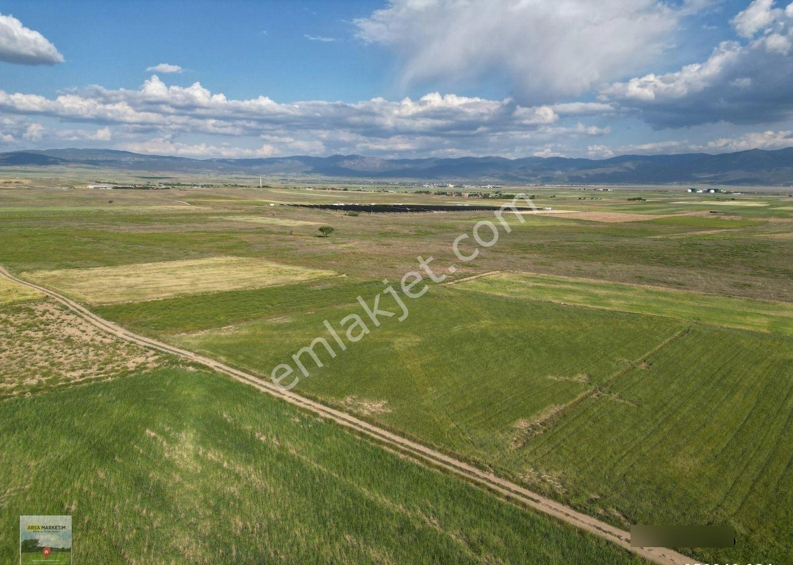 Dazkırı Yüreğilde 2.800 M2 Tek Tapu Satılık Tarla - Görsel 13