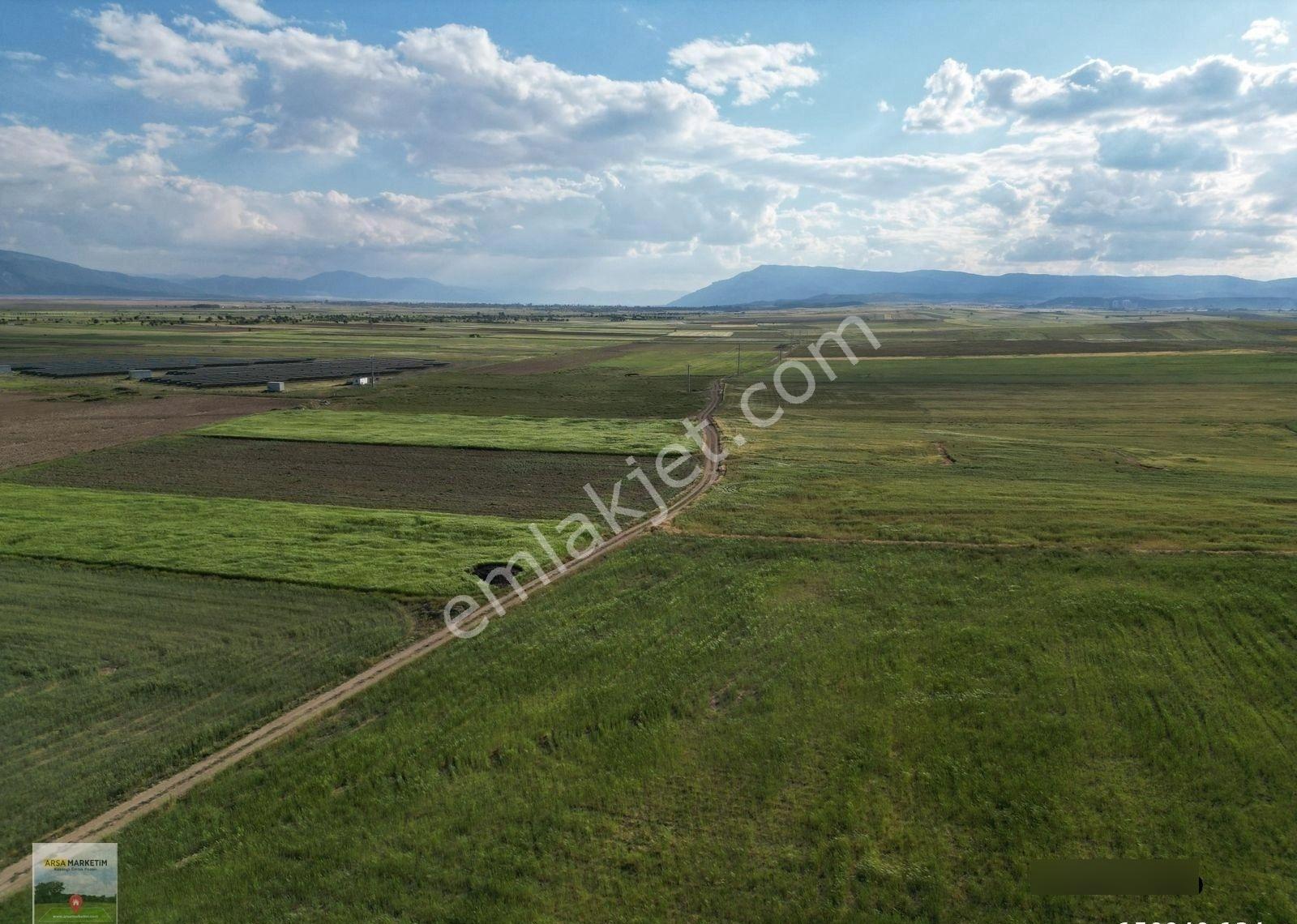 Dazkırı Yüreğilde 2.800 M2 Tek Tapu Satılık Tarla - Görsel 24