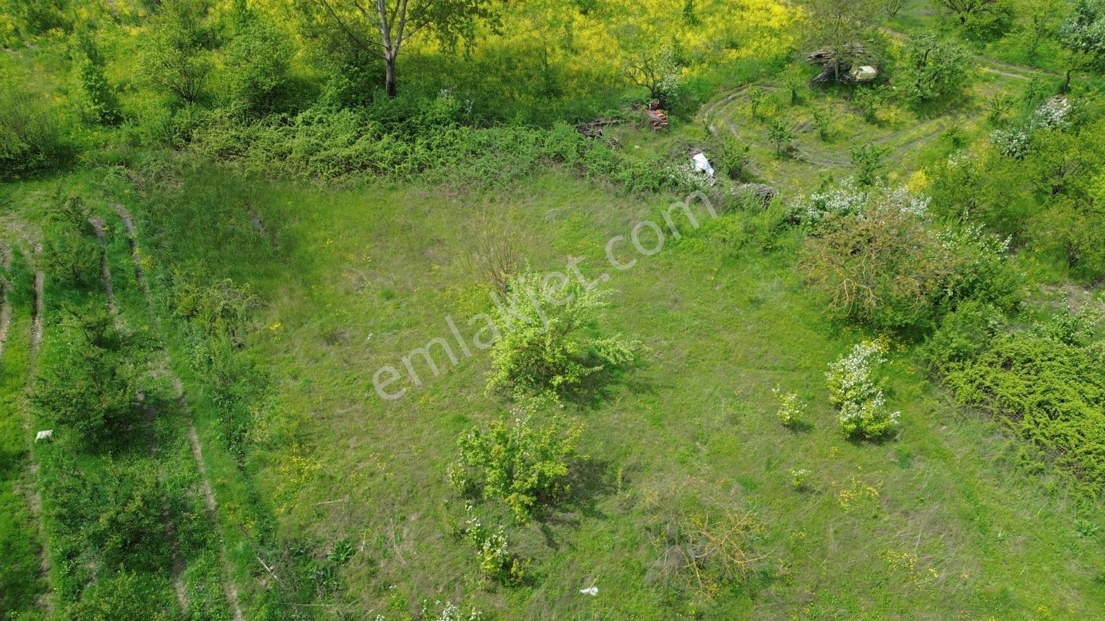 Doğanyurdun'da Satılık 1826m2 Tarla İmara Sıfır Nokta Yatırımlık - Görsel 6