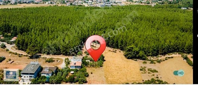 Döşemealtı Yalınlı'da Ormana Karşı Satılık 419m2 Köşe Arsa - Görsel 4