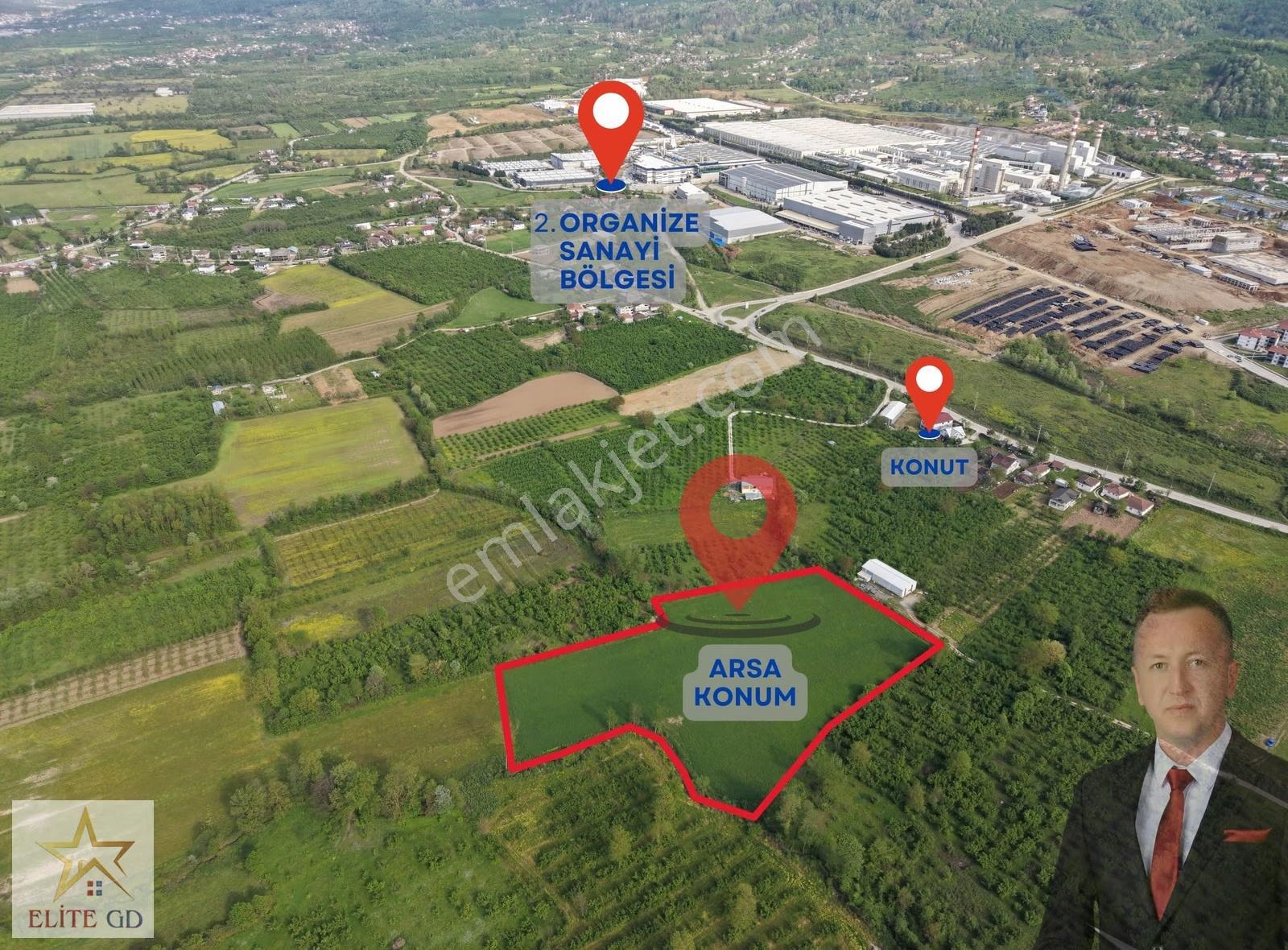 Düzce Osb Yakınında Yatırımlık 16.000 M² Satılık Değerli Arazi - Görsel 4