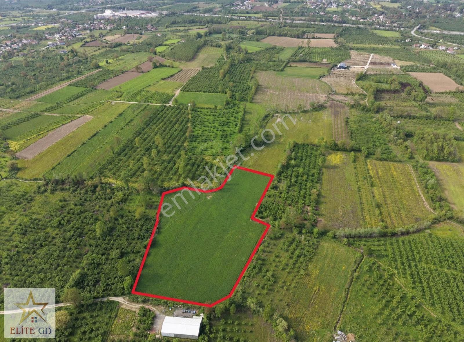 Düzce Osb Yakınında Yatırımlık 16.000 M² Satılık Değerli Arazi - Görsel 5
