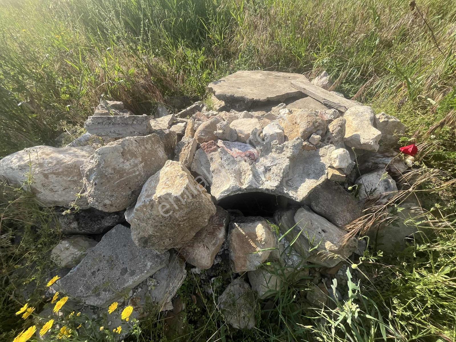 Torbalı Dirmil Mah 2438m2 Satılık Zeytinli Tarla - Görsel 11