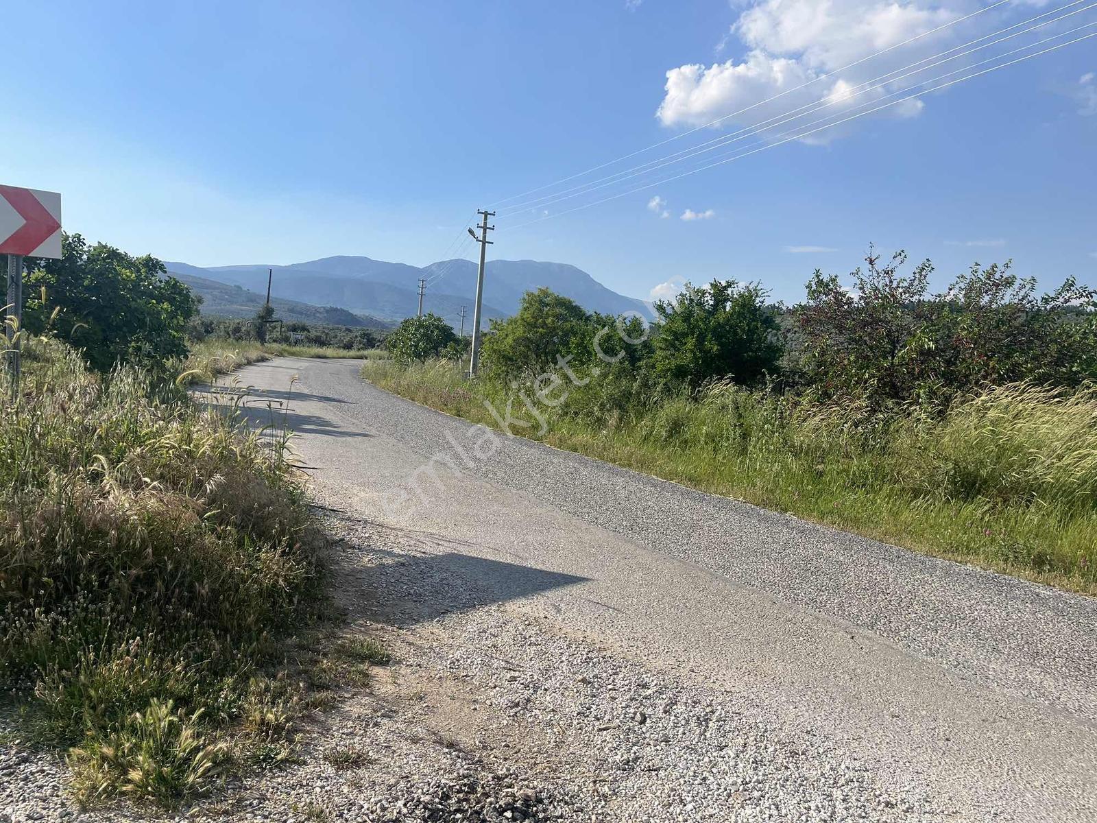 Torbalı Dirmil Mah 2438m2 Satılık Zeytinli Tarla - Görsel 12