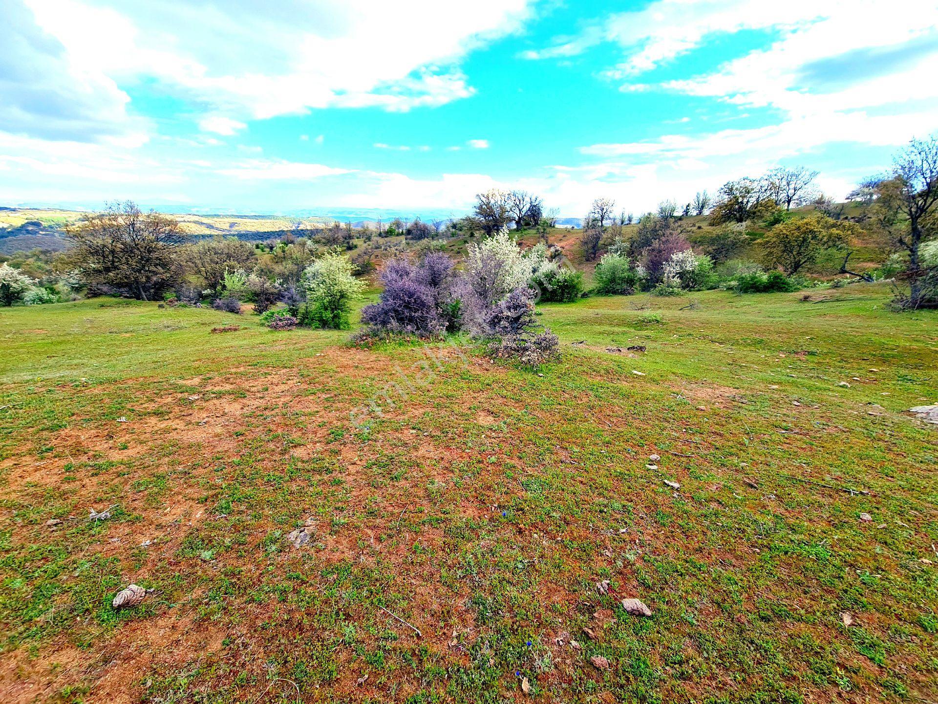 Manisa Demirci Bayramşah'da 1.967 M² Köy Manzaralı Köye 500mt Düz Güzel Uygun Tarla. Açıklamada - Görsel 12