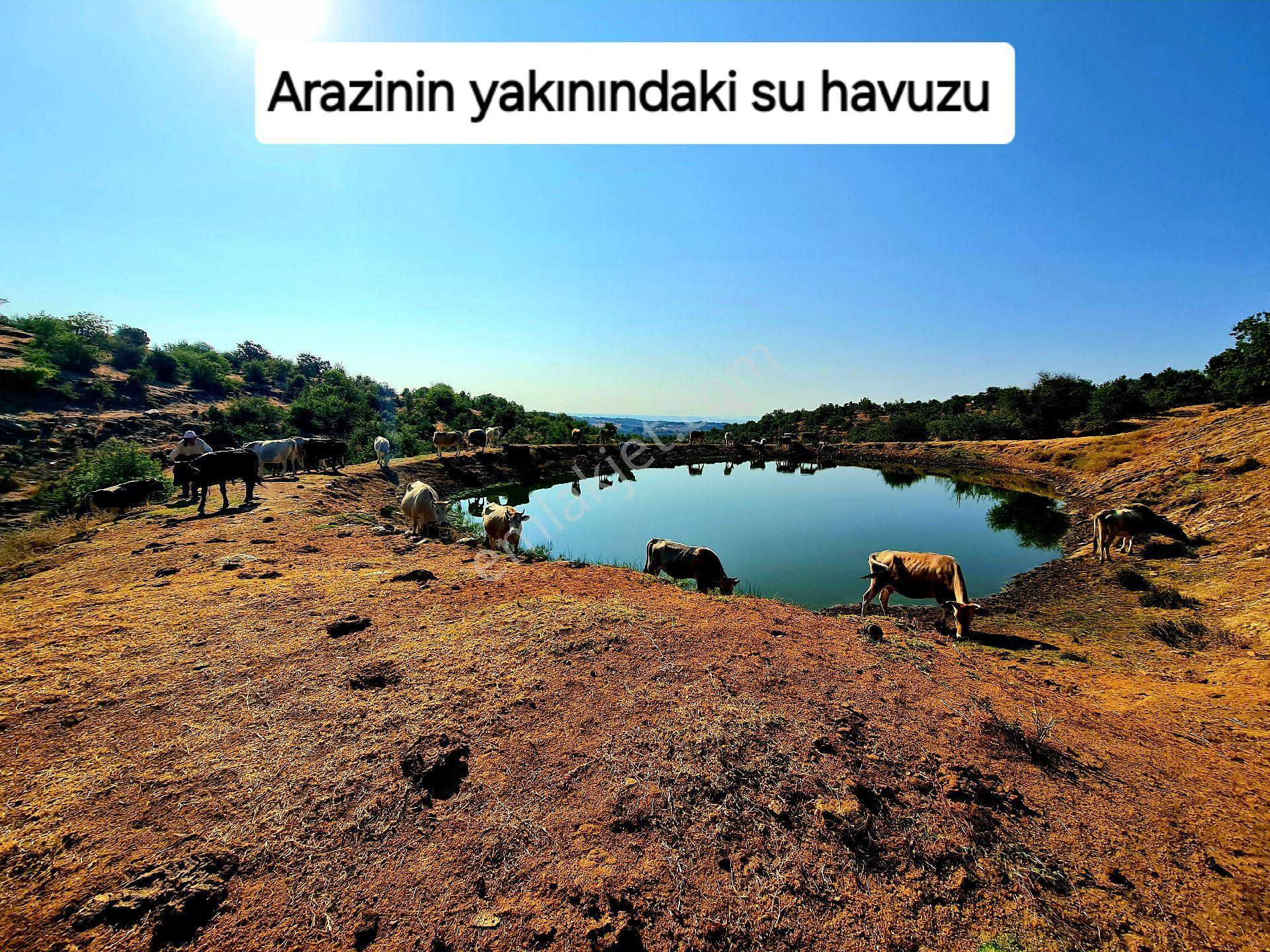 Manisa Demirci Bayramşah'da 1.967 M² Köy Manzaralı Köye 500mt Düz Güzel Uygun Tarla. Açıklamada - Görsel 8