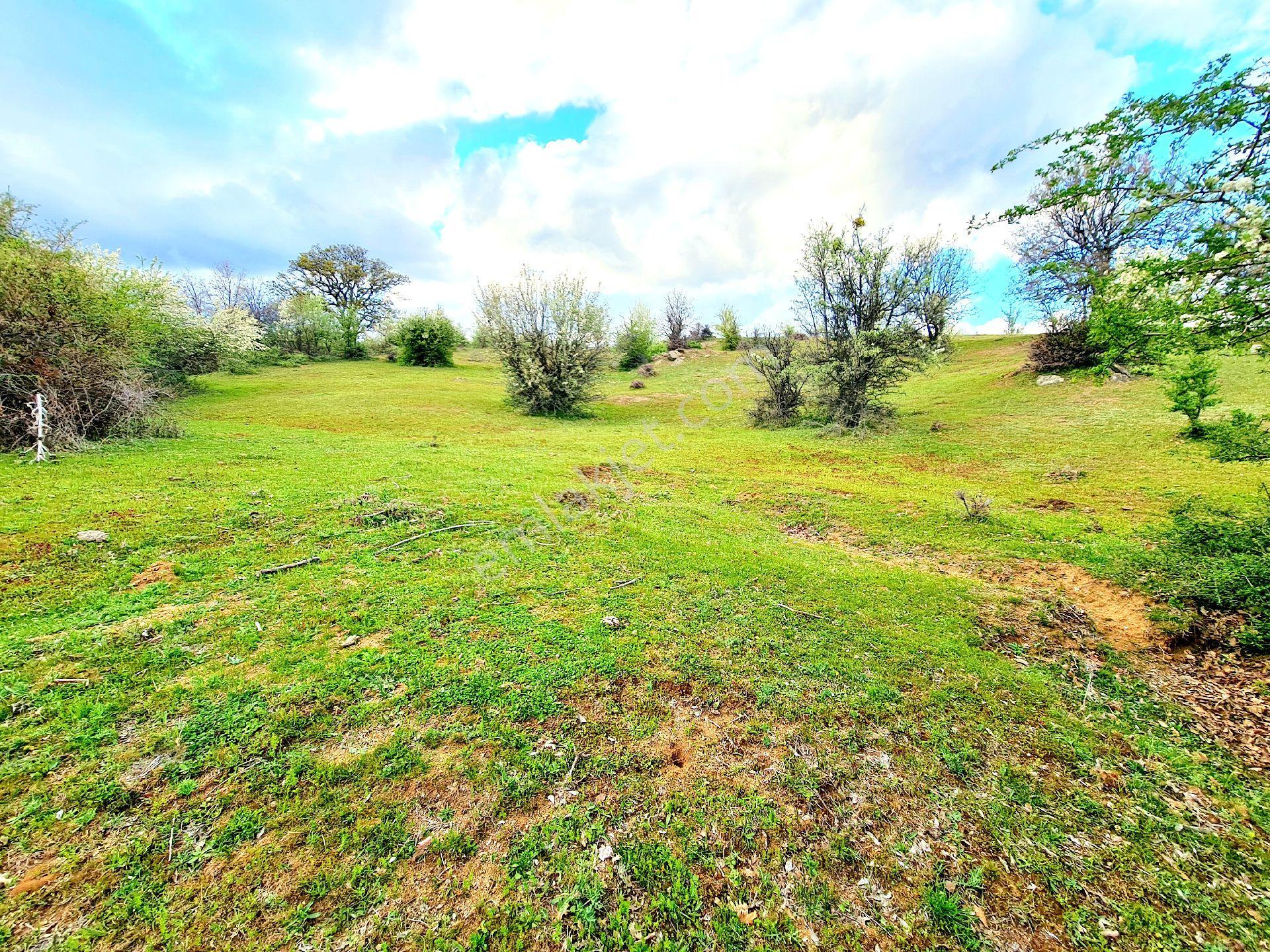 Manisa Demirci Bayramşah'da 1.967 M² Köy Manzaralı Köye 500mt Düz Güzel Uygun Tarla. Açıklamada - Görsel 15
