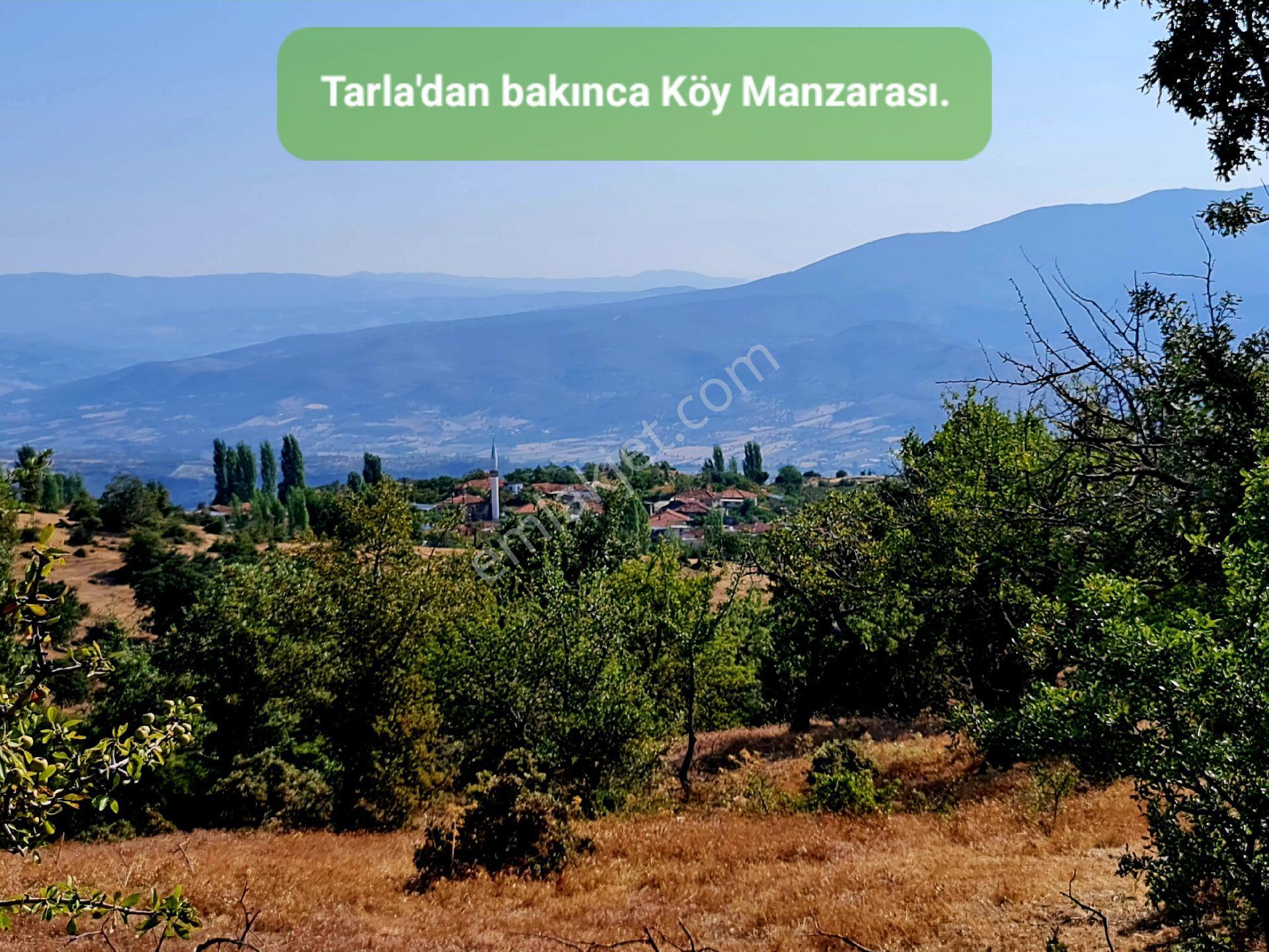 Manisa Demirci Bayramşah'da 1.967 M² Köy Manzaralı Köye 500mt Düz Güzel Uygun Tarla. Açıklamada - Görsel 19