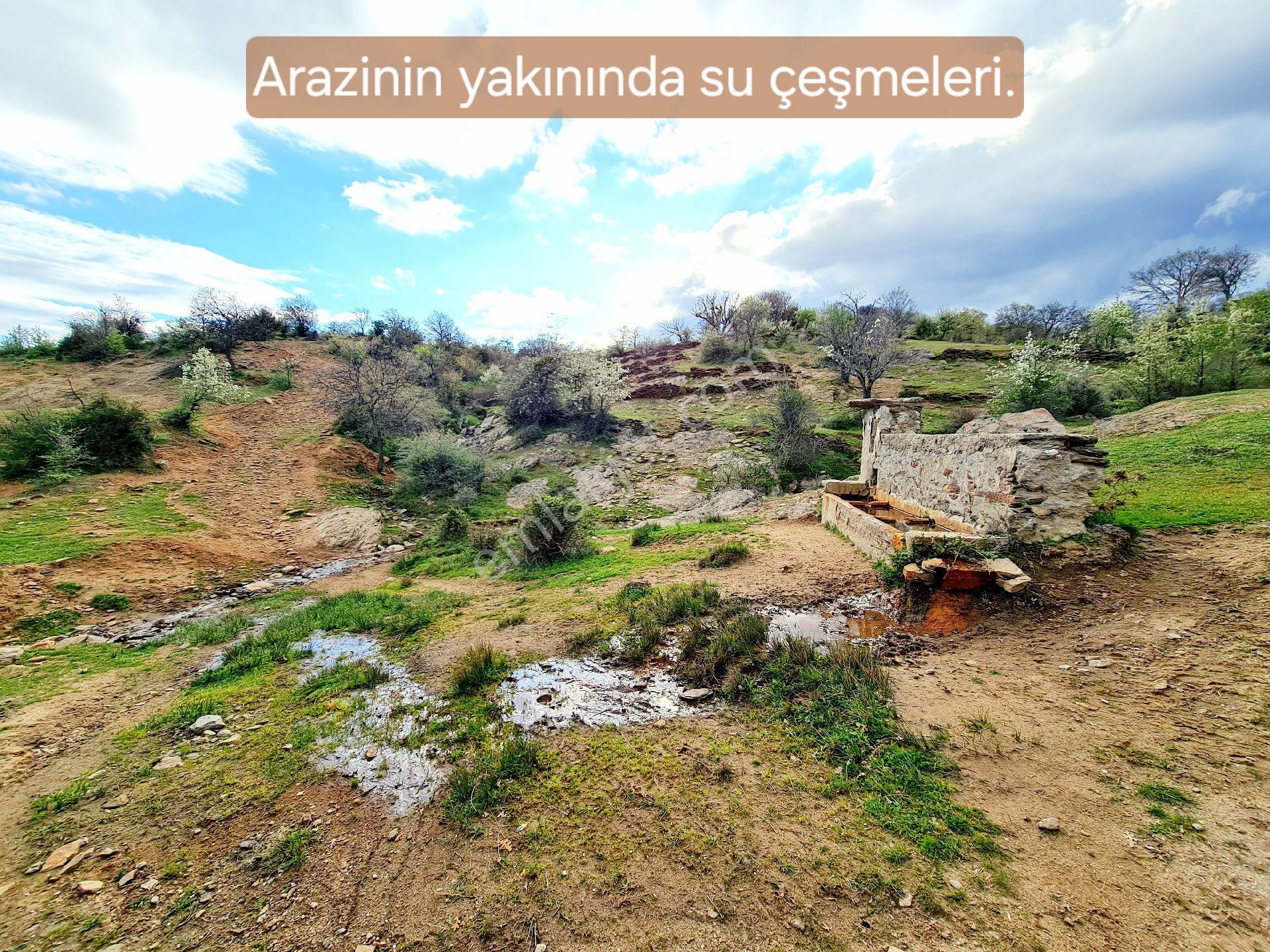 Manisa Demirci Bayramşah'da 1.967 M² Köy Manzaralı Köye 500mt Düz Güzel Uygun Tarla. Açıklamada - Görsel 6