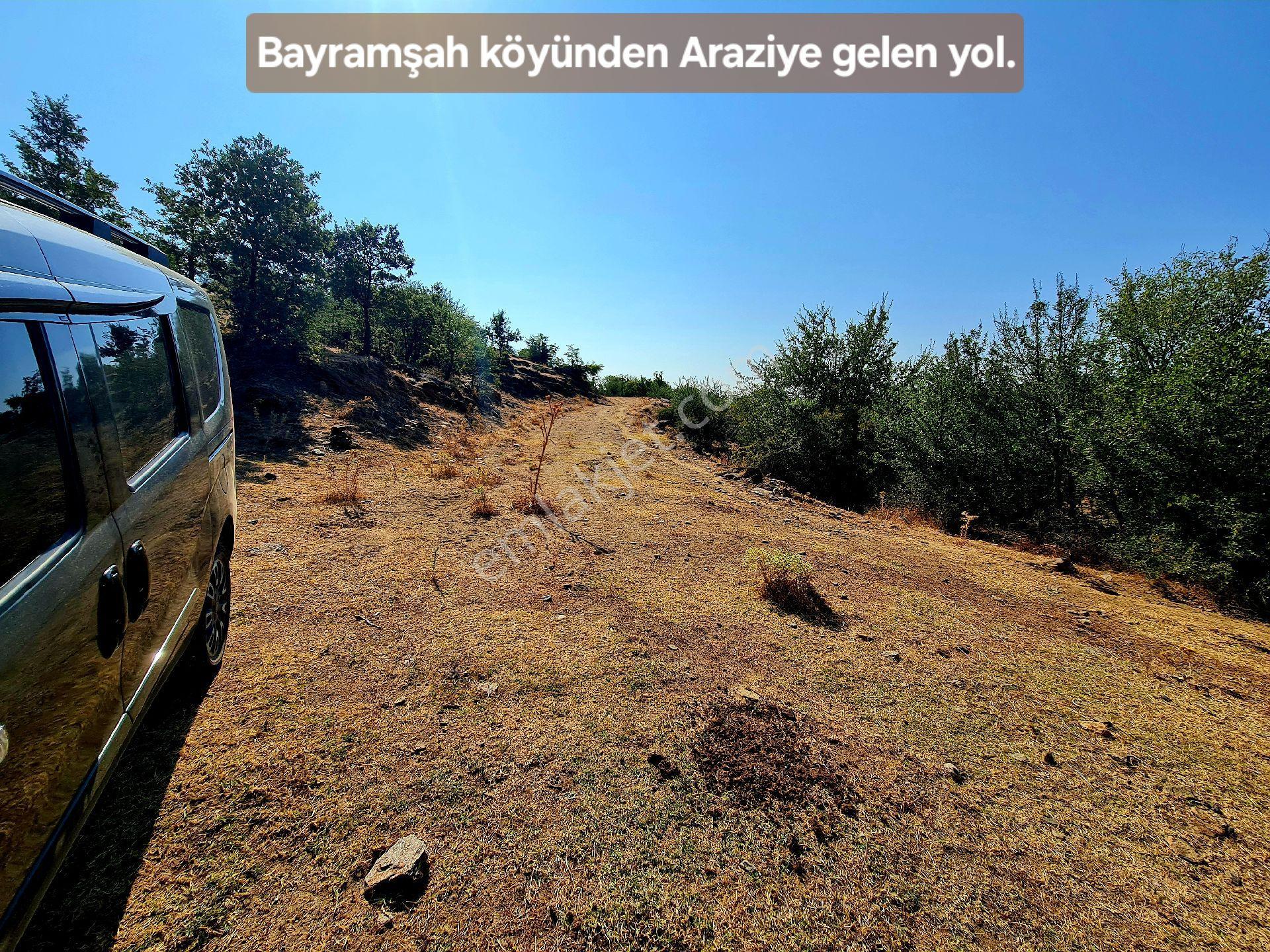 Manisa Demirci Bayramşah'da 1.967 M² Köy Manzaralı Köye 500mt Düz Güzel Uygun Tarla. Açıklamada - Görsel 5
