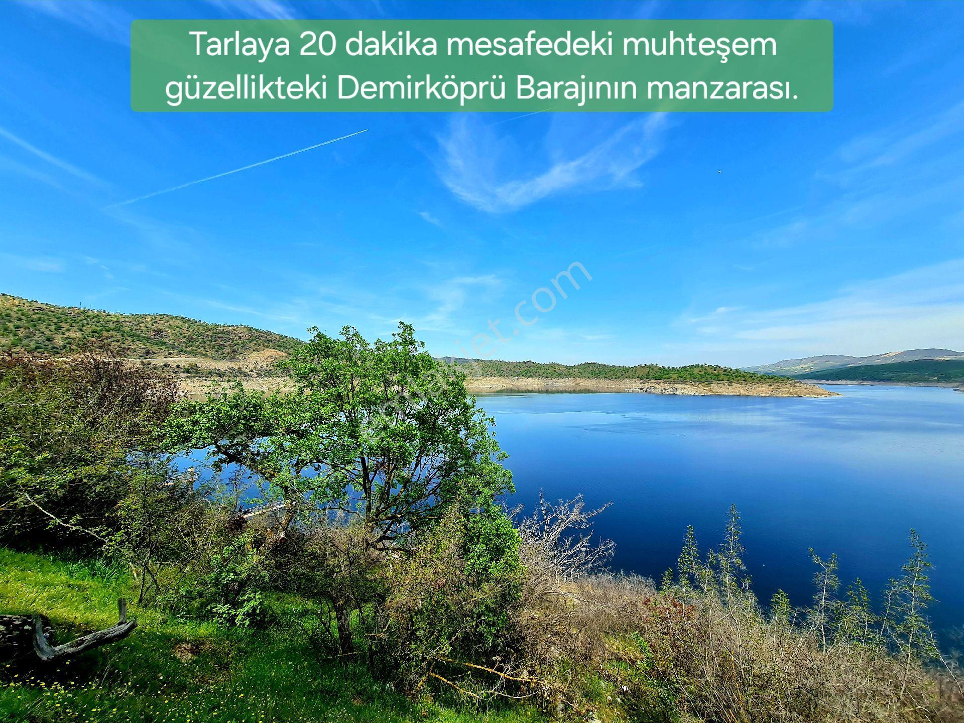 Manisa Demirci Bayramşah'da 1.967 M² Köy Manzaralı Köye 500mt Düz Güzel Uygun Tarla. Açıklamada - Görsel 2
