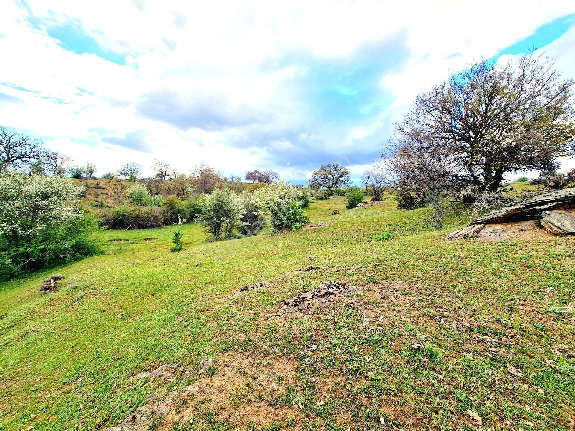 Manisa Demirci Bayramşah'da 1.967 M² Köy Manzaralı Köye 500mt Düz Güzel Uygun Tarla. Açıklamada - Görsel 14