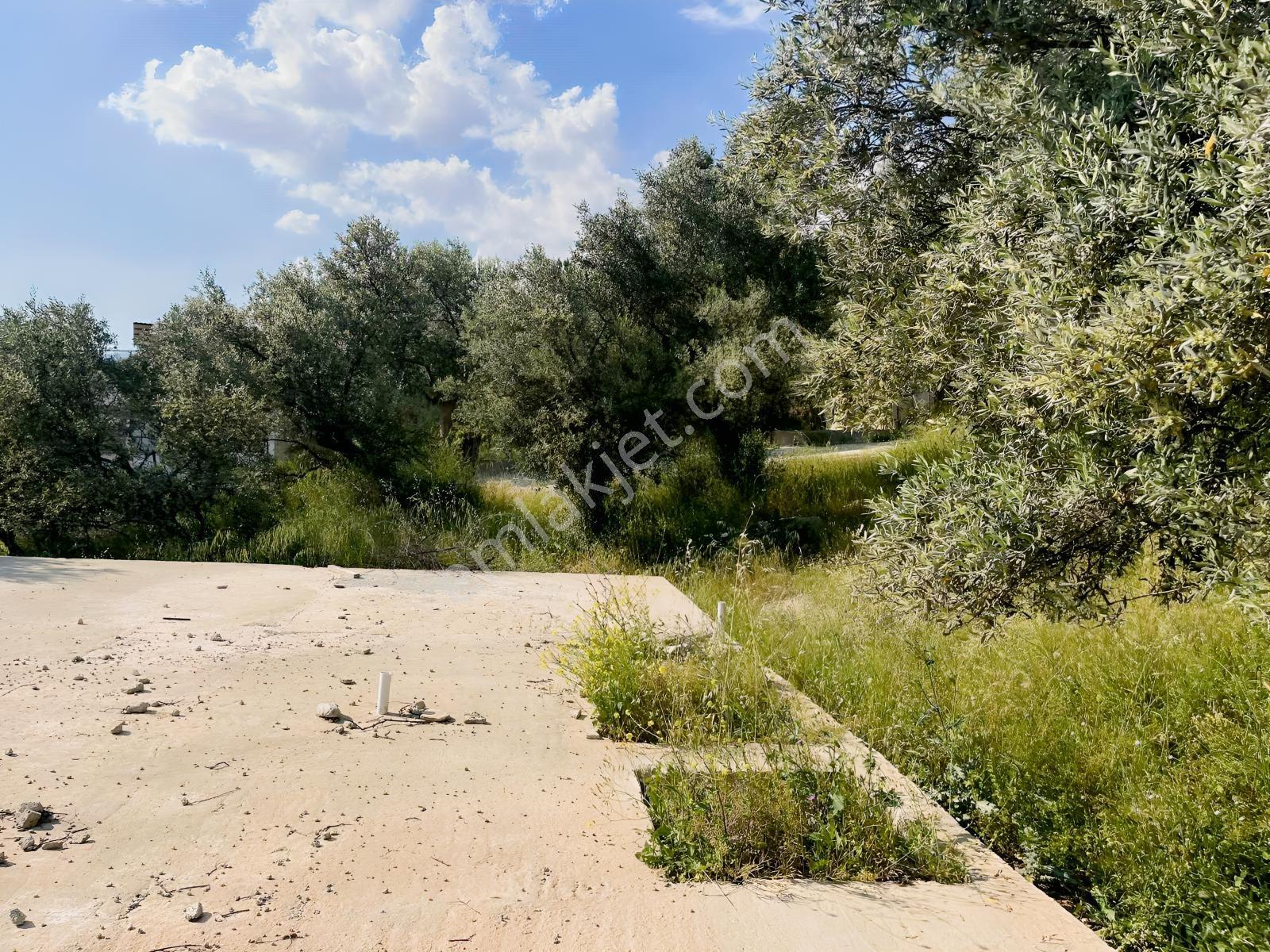 Torbalı Dirmil Mah Köy İçi 446 M2 Satılık Arazi - Görsel 33