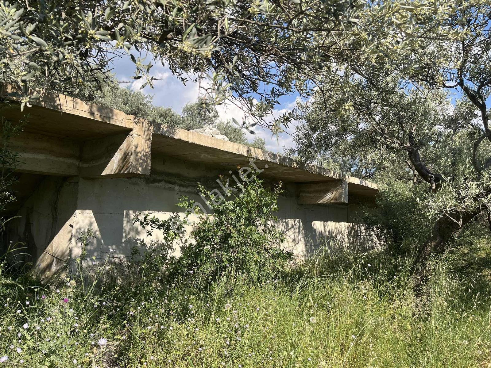 Torbalı Dirmil Mah Köy İçi 446 M2 Satılık Arazi - Görsel 15