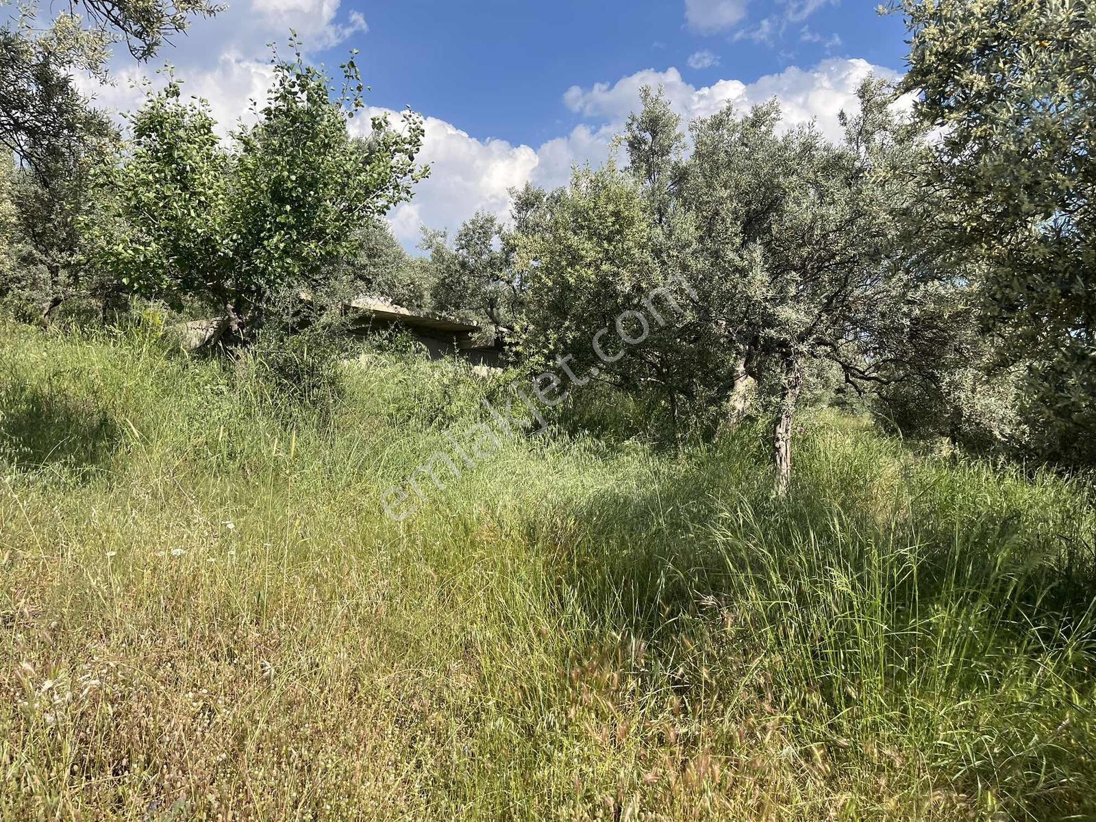 Torbalı Dirmil Mah Köy İçi 446 M2 Satılık Arazi - Görsel 35