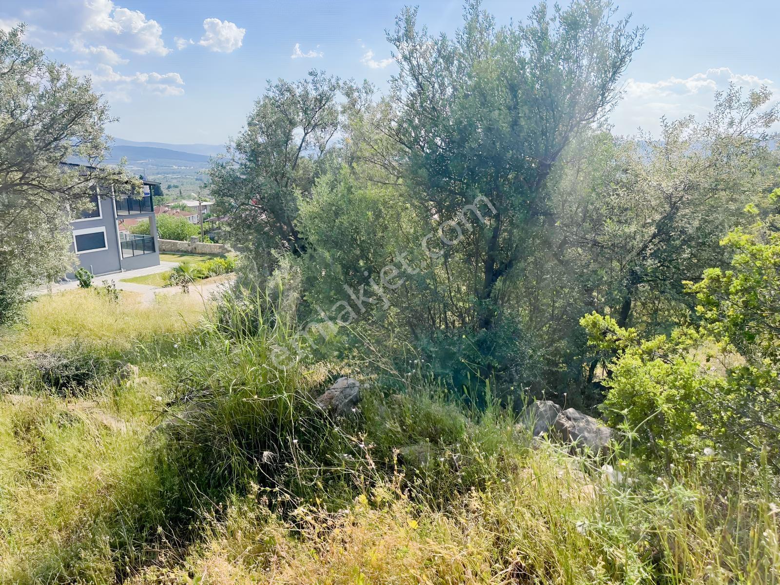 Torbalı Dirmil Mah Köy İçi 446 M2 Satılık Arazi - Görsel 31