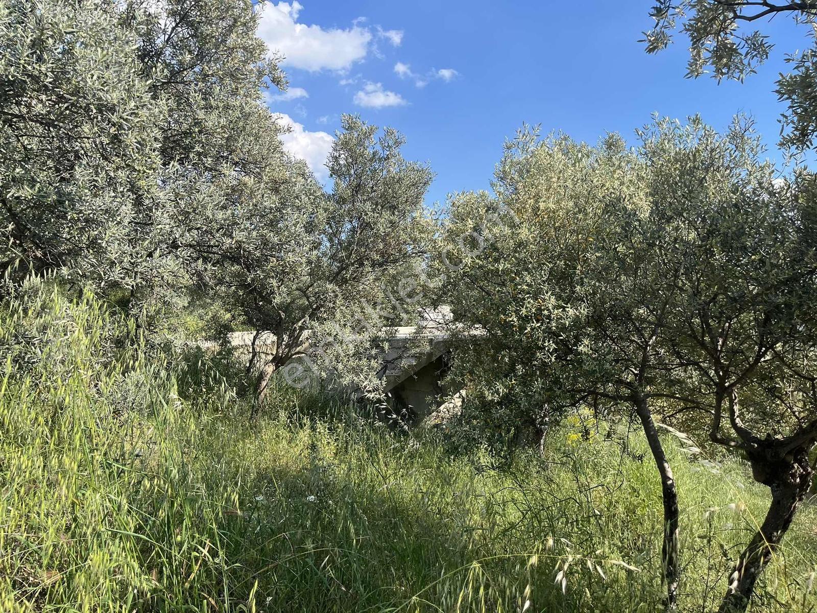 Torbalı Dirmil Mah Köy İçi 446 M2 Satılık Arazi - Görsel 17