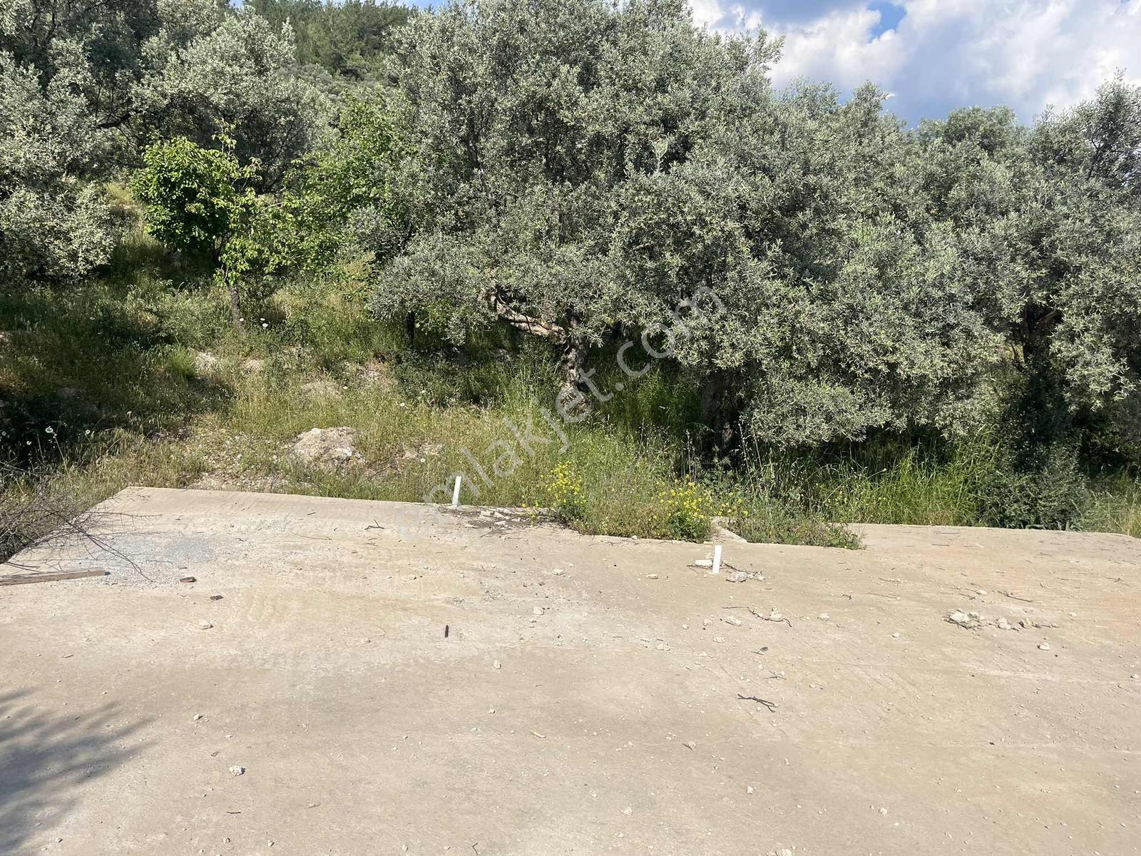 Torbalı Dirmil Mah Köy İçi 446 M2 Satılık Arazi - Görsel 23