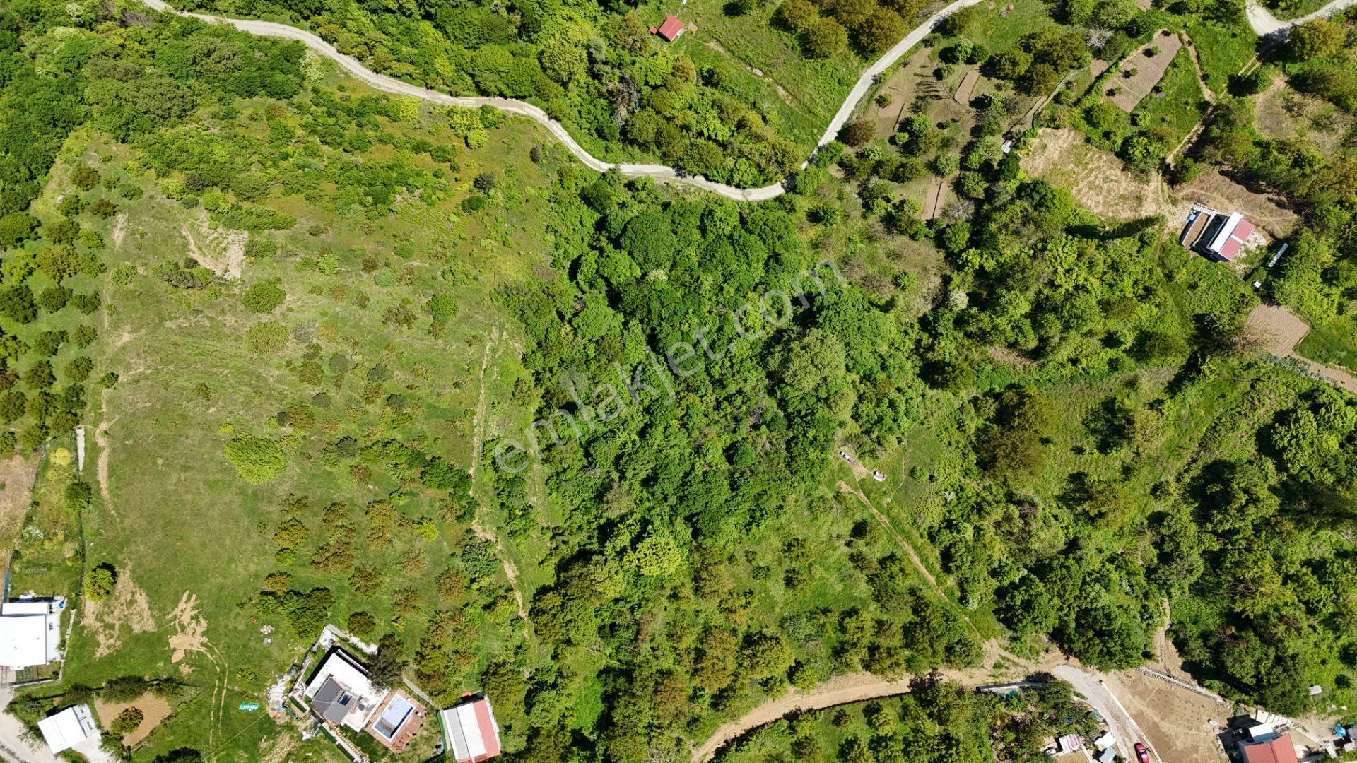 C21 Cius; Gemlik Güvenli’de Köy Gelişme Alanında Konut İmarlı Arsa - Görsel 3
