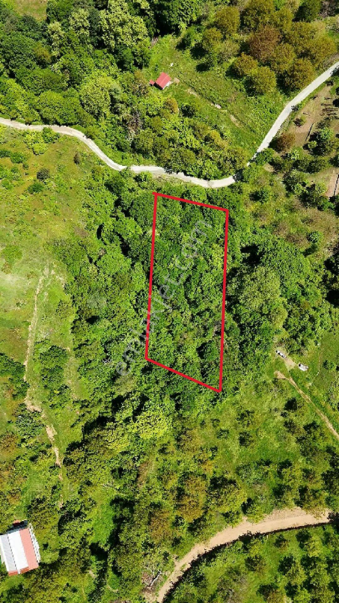 C21 Cius; Gemlik Güvenli’de Köy Gelişme Alanında Konut İmarlı Arsa - Görsel 2