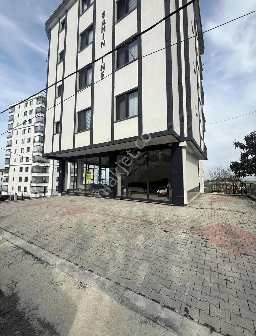 Onur Pehlivan'dan Hasköy Meşe Bölgesinde Kiralık Dükkan - Görsel 3