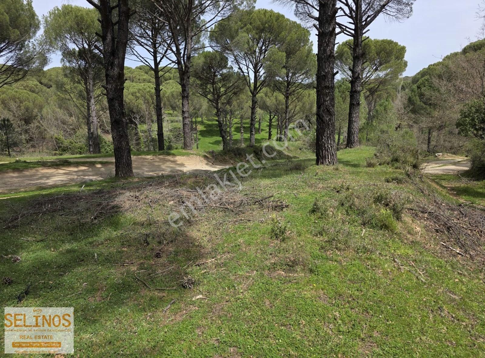 Kozak Karaveliler Köyünde Yolu Olan 2113 M2 Arazi - Görsel 3