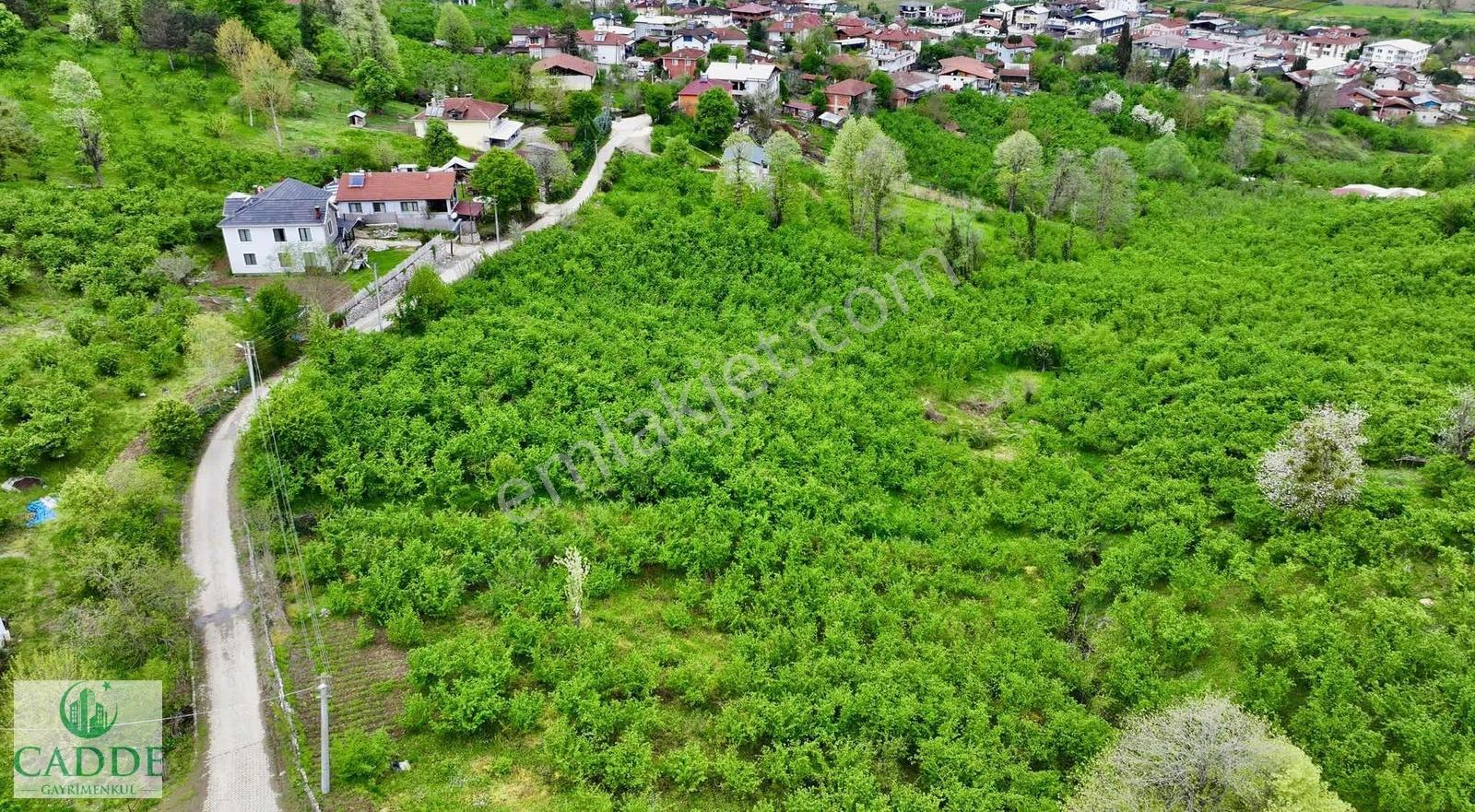 Erenler Yazılı Mahallesinde Merkeze Yakın 1244 M2 İmarlı Arsa - Görsel 17