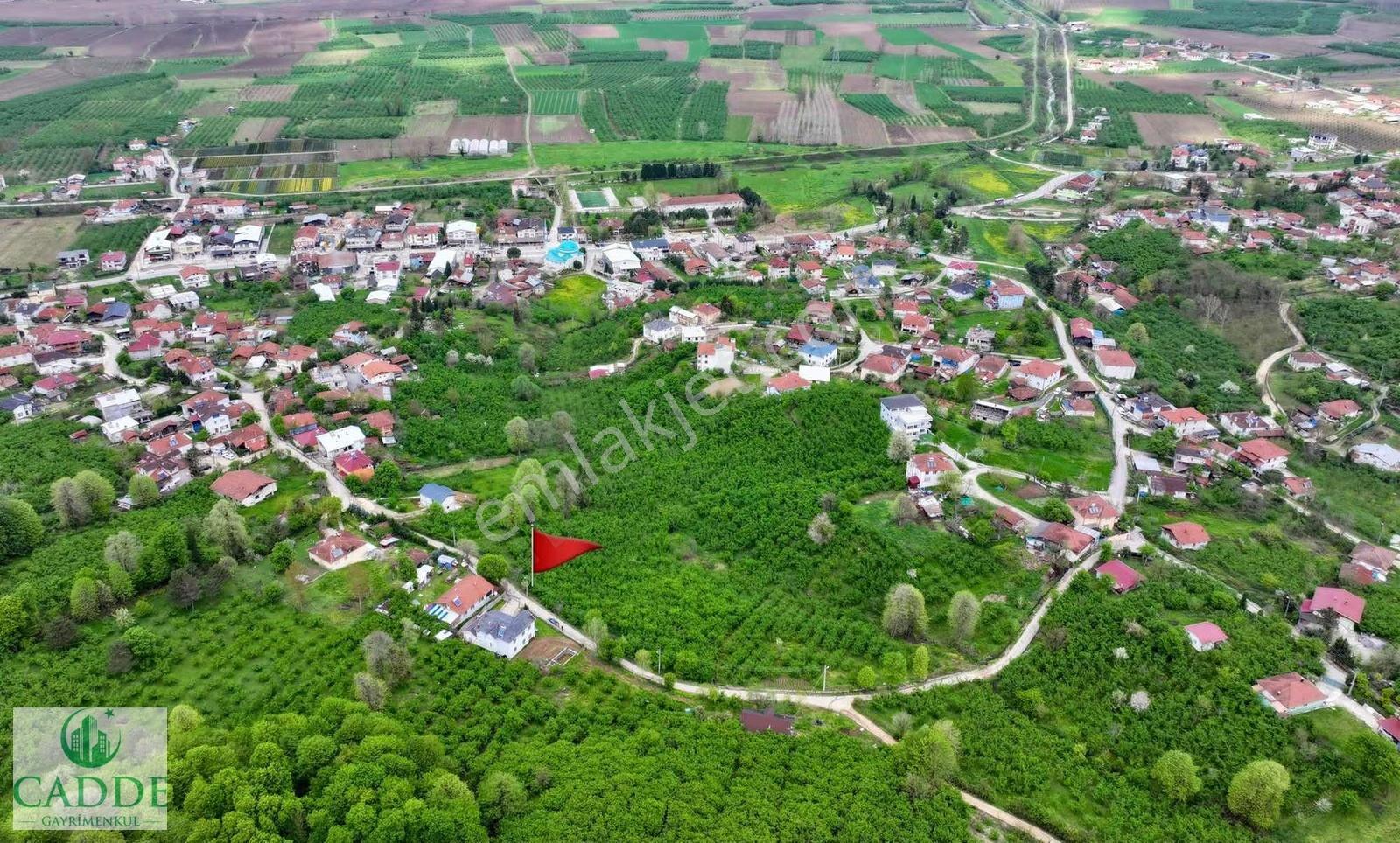 Erenler Yazılı Mahallesinde Merkeze Yakın 1244 M2 İmarlı Arsa - Görsel 6