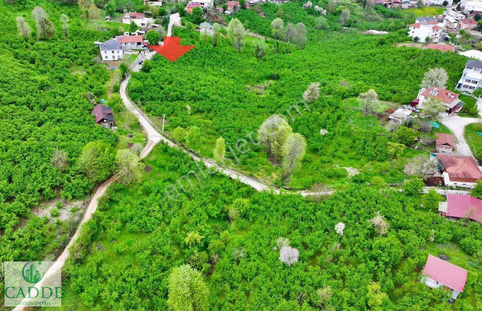 Erenler Yazılı Mahallesinde Merkeze Yakın 1244 M2 İmarlı Arsa - Görsel 4