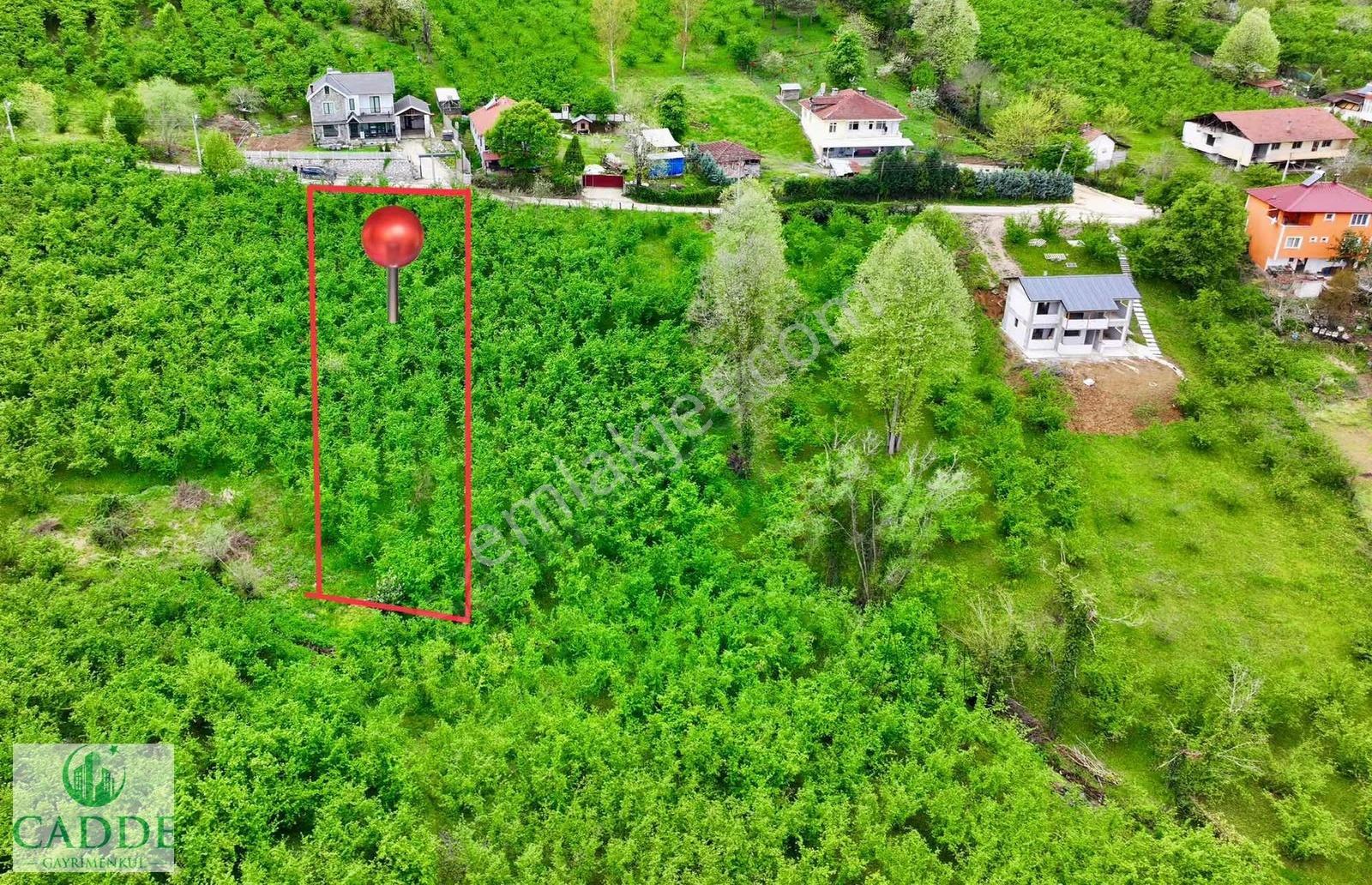 Erenler Yazılı Mahallesinde Merkeze Yakın 1244 M2 İmarlı Arsa - Görsel 13