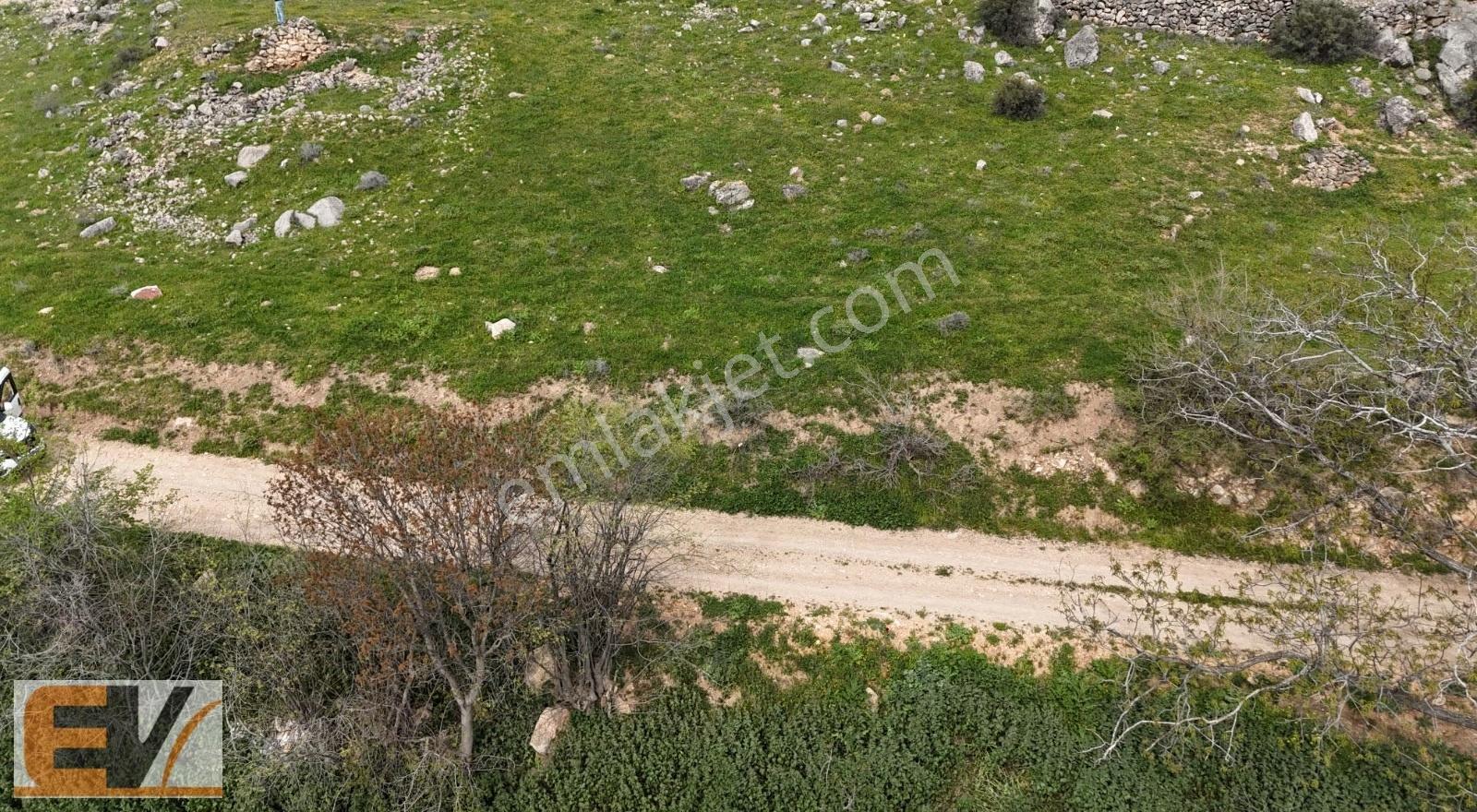 Bilecik Söğüt Yola Cephe Köyiçi 723 M2 Satılık Arsa - Görsel 2