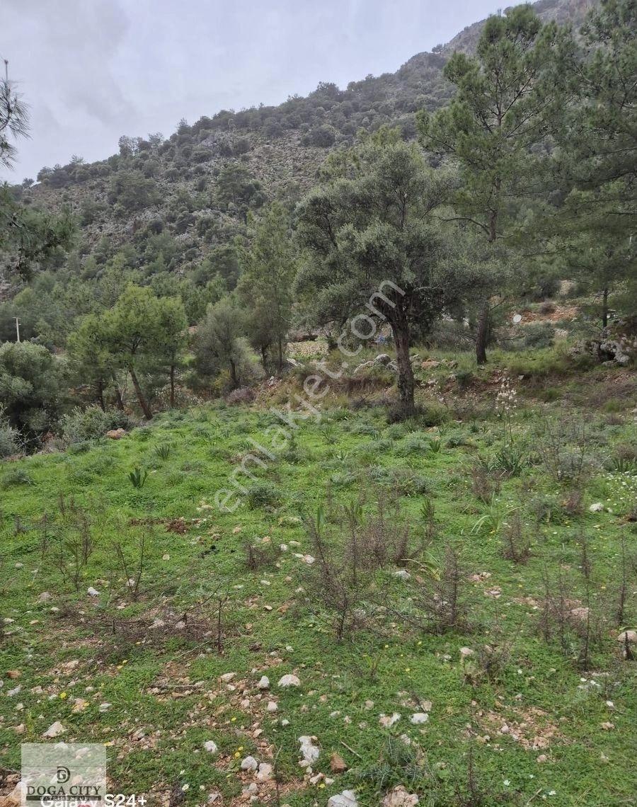 Muğla/ortaca/dalyan/gökbel Satılık 12 Parsel Arazi - Görsel 9