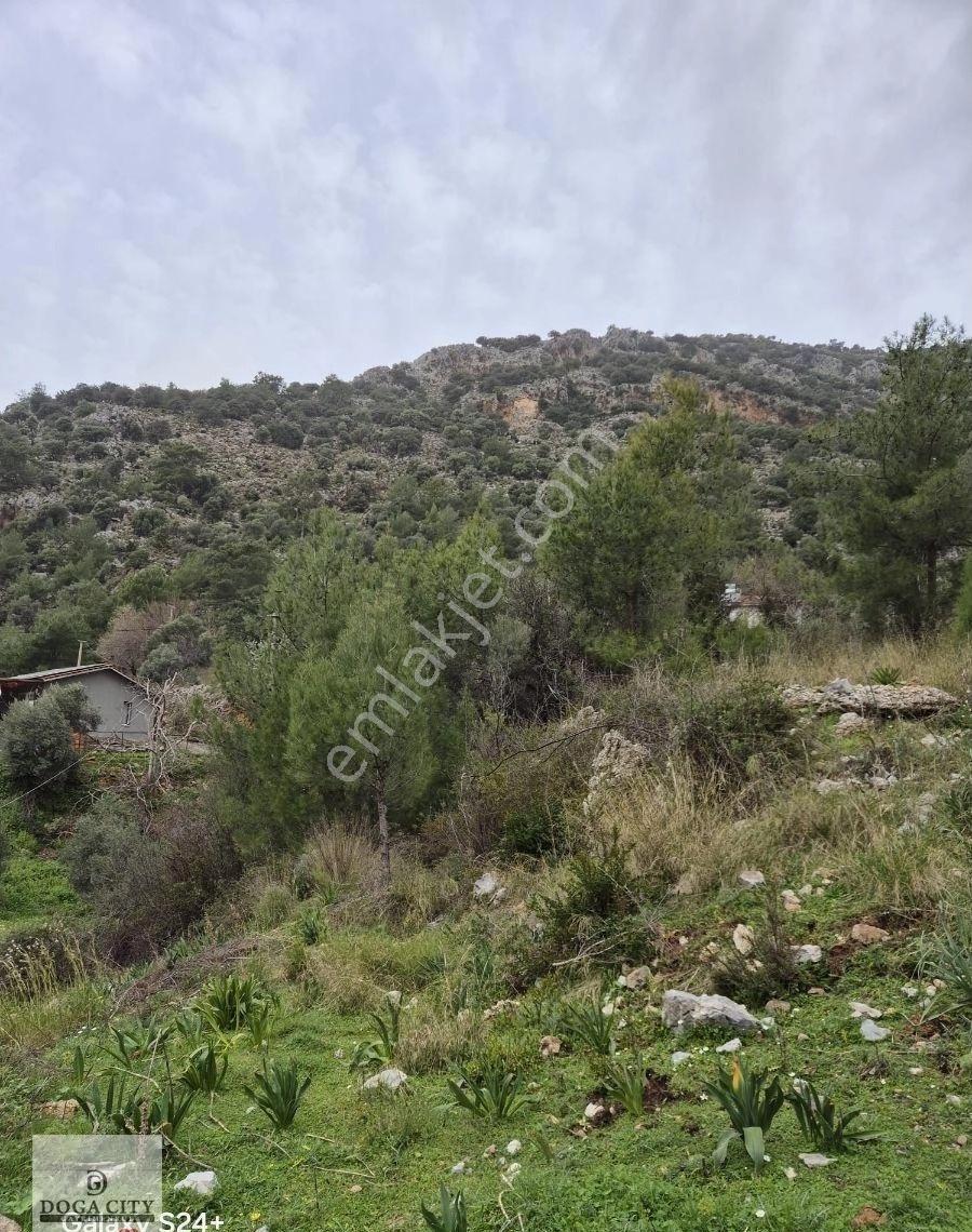 Muğla/ortaca/dalyan/gökbel Satılık 12 Parsel Arazi - Görsel 3