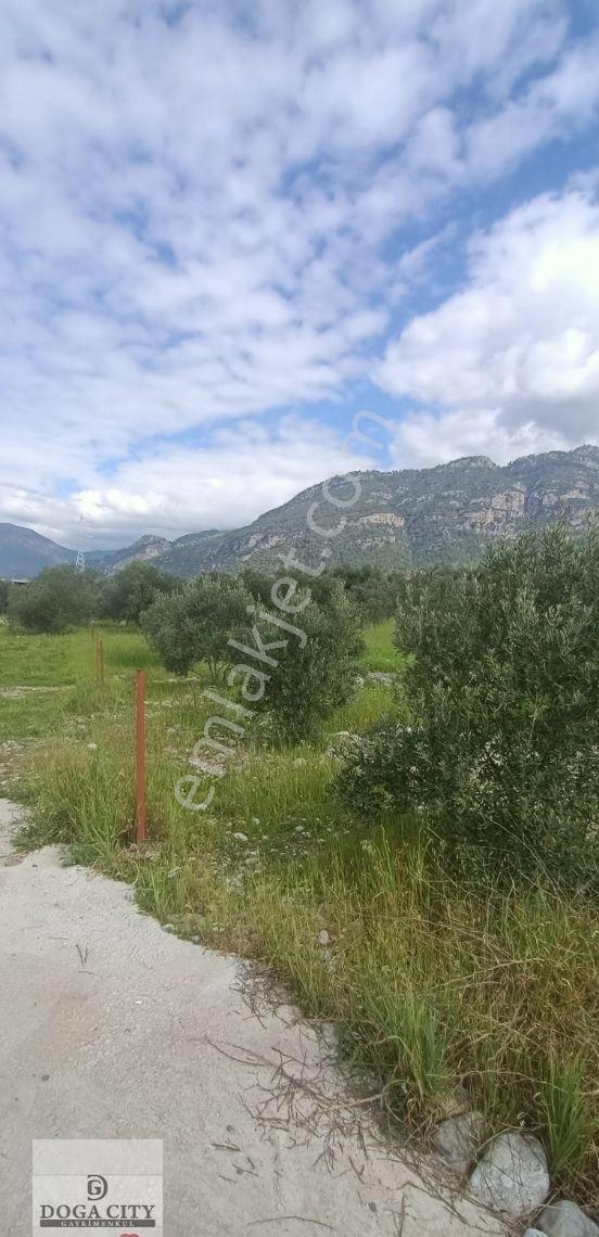 Muğla/köyceğiz/zeytinalanı Satılık Göl Manzaralı Arazi - Görsel 9