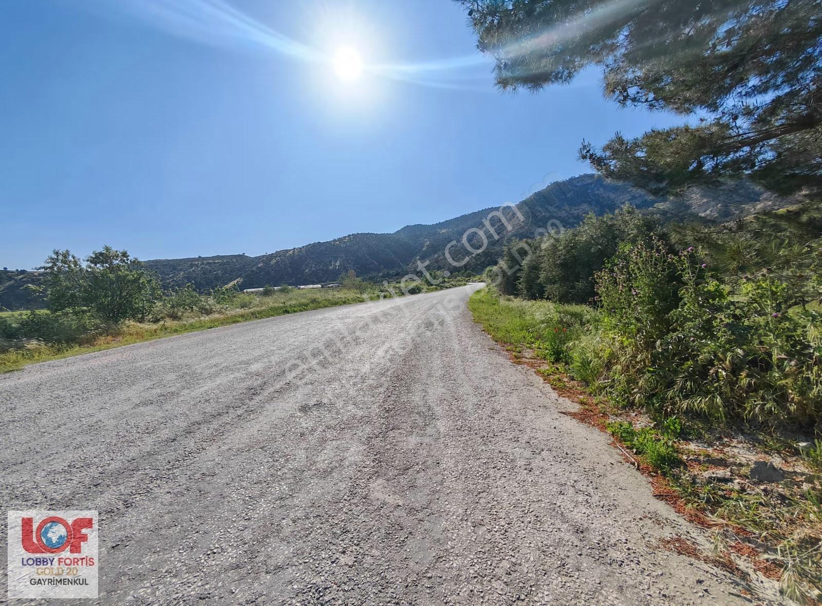 Lobby Fortis'ten Buldan Yenicekent'te 5.303 M2 Satılık Tarla