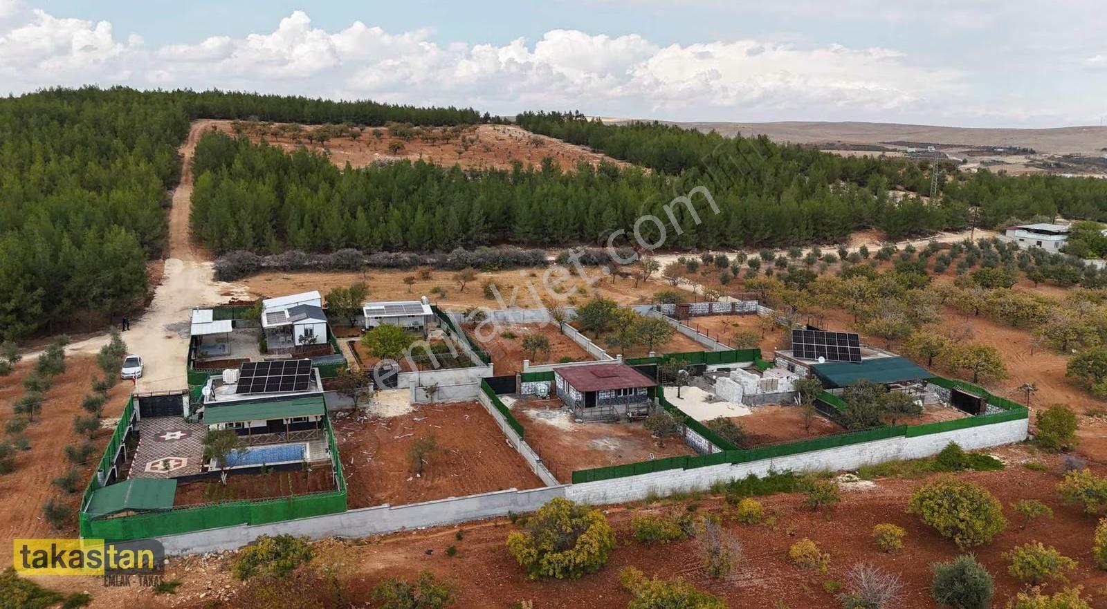Suboğaz Yatırımlık Ve Bağ Evlik Hazır Satılık Arazi