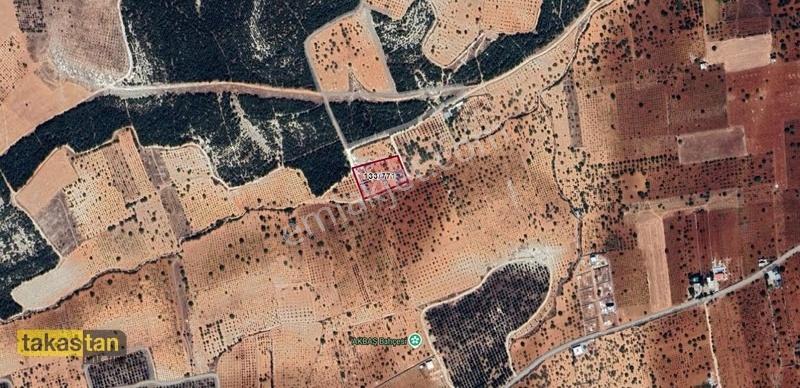 Suboğaz Yatırımlık Ve Bağ Evlik Hazır Satılık Arazi - Görsel 14