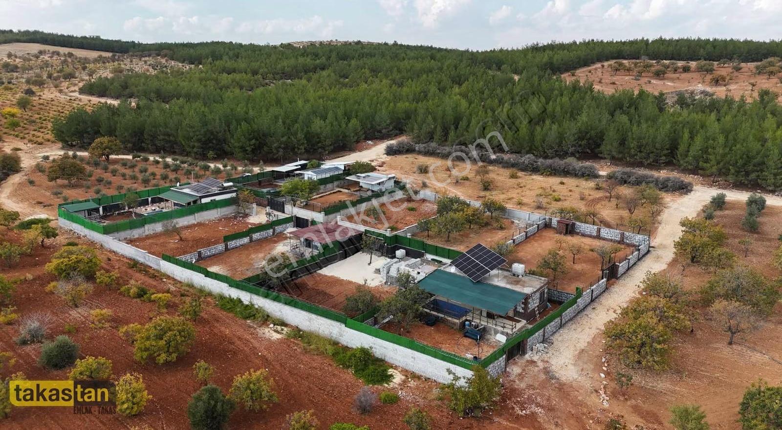 Suboğaz Yatırımlık Ve Bağ Evlik Hazır Satılık Arazi - Görsel 9
