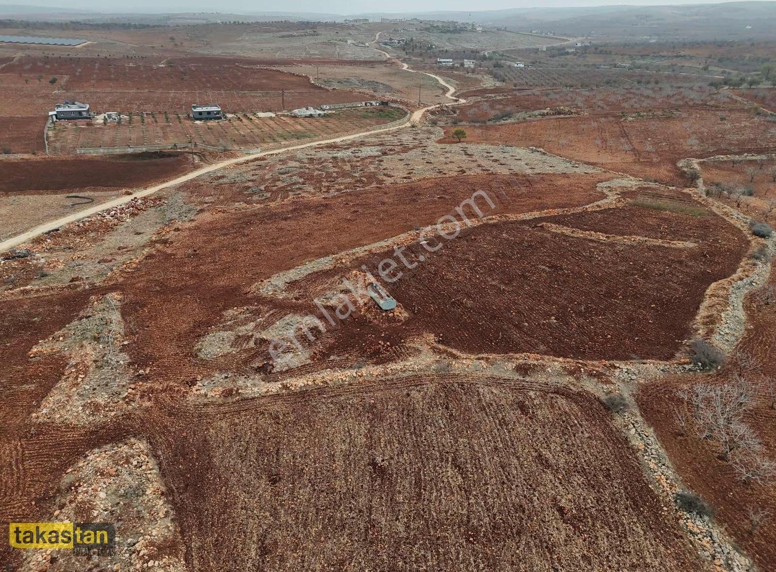 Tuğlu Yatırımlık Ve Bağ Evine Uygun Muhteşem Konum Satılık Arazi - Görsel 8