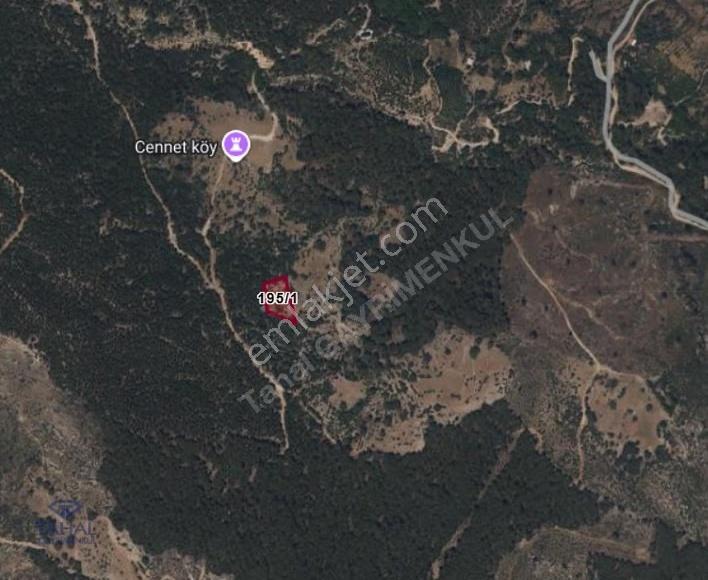 Antalya Kumluca Karacaören Alamşaat 2404 M2 Acil Satılık Tarla - Görsel 2
