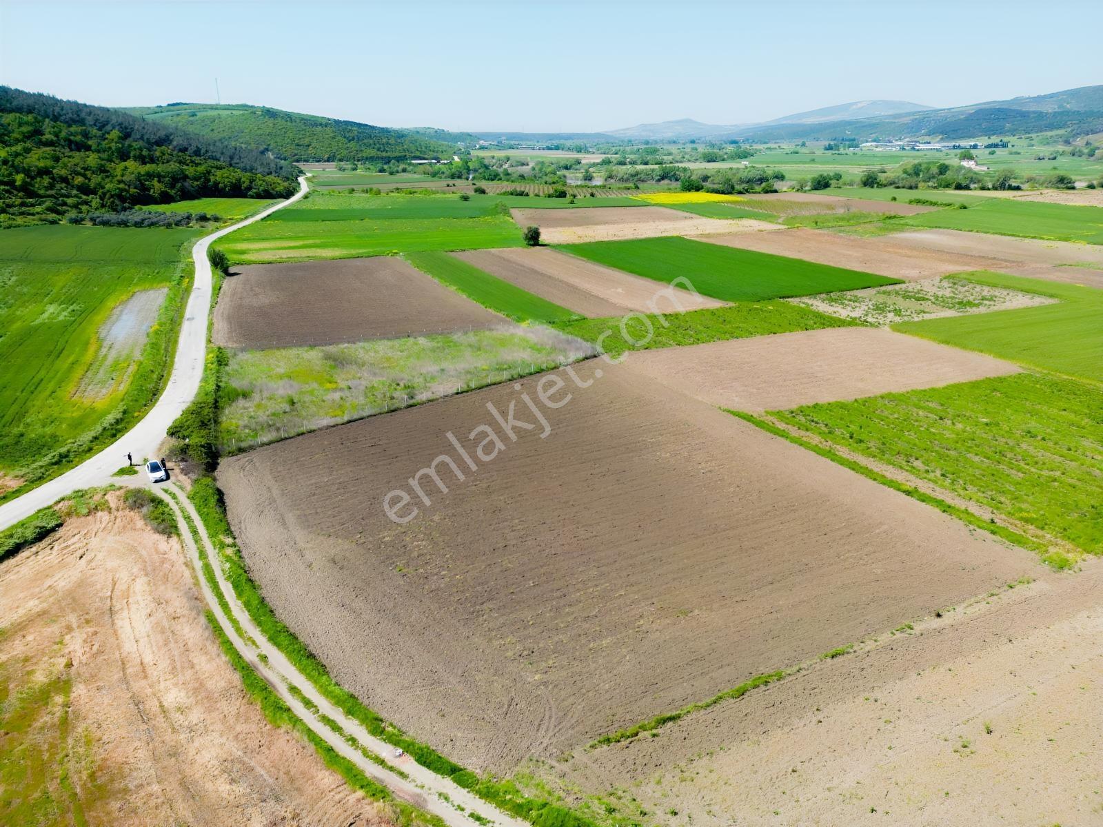 Bursa Karacabey Çeşnigir'de Yola Cephe 5300 M² Satılık Tarla - Görsel 9