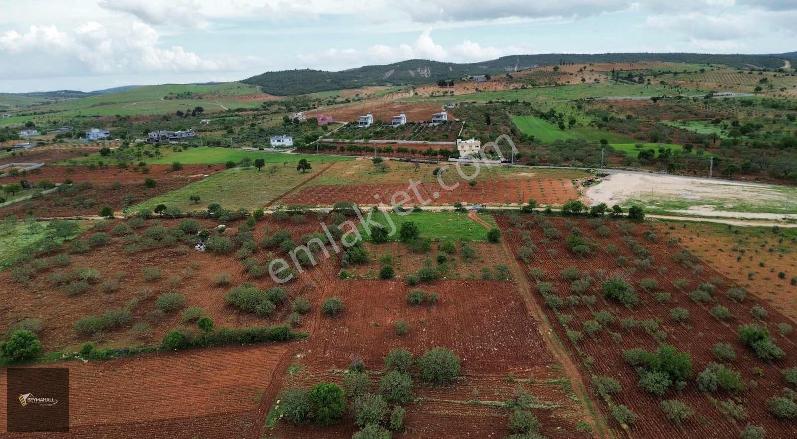 Beymahall Subogaz 4 Köşe Kare Bag Evlik Muazzam Konumda Arazi - Görsel 9